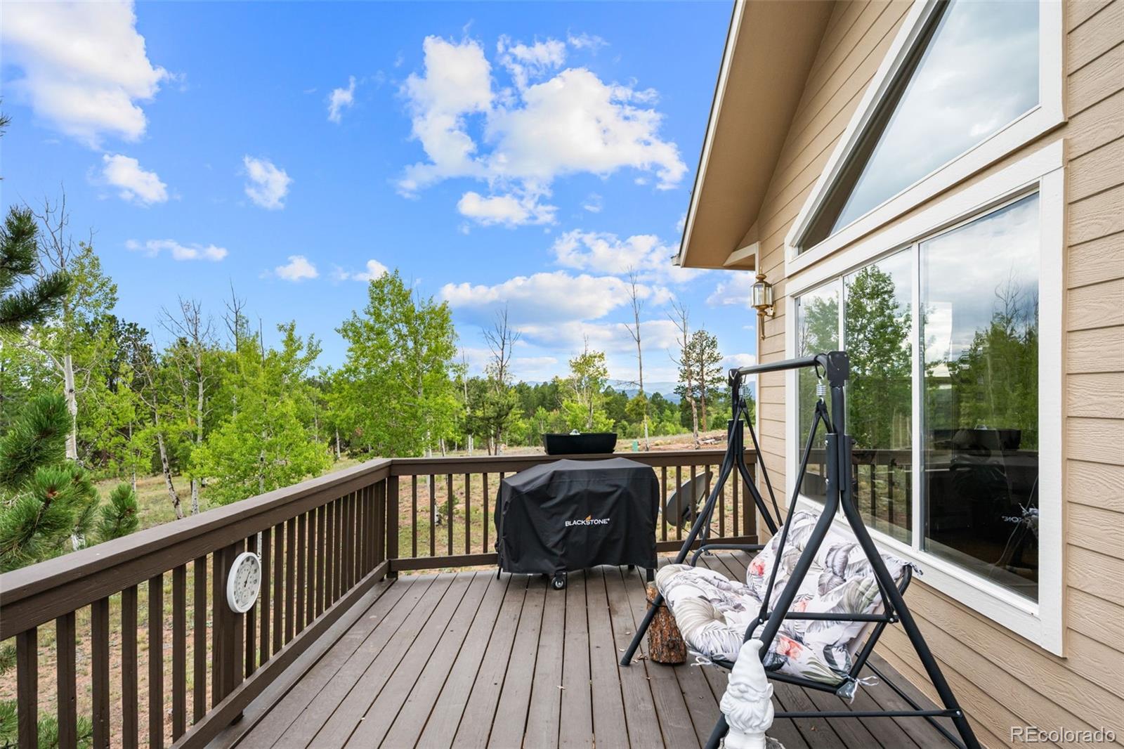 MLS Image #25 for 55  crystal peak drive,lake george, Colorado