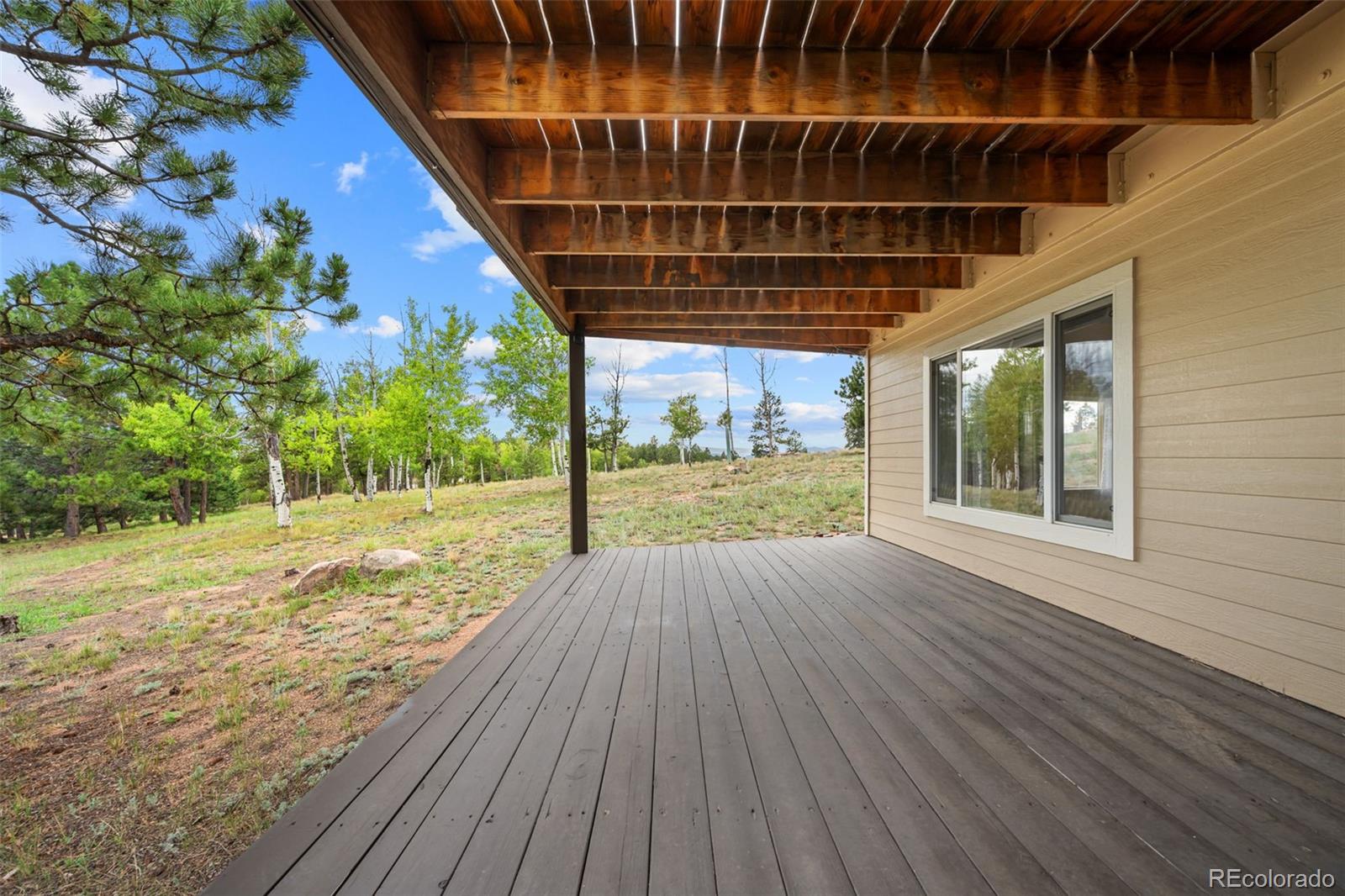 MLS Image #27 for 55  crystal peak drive,lake george, Colorado