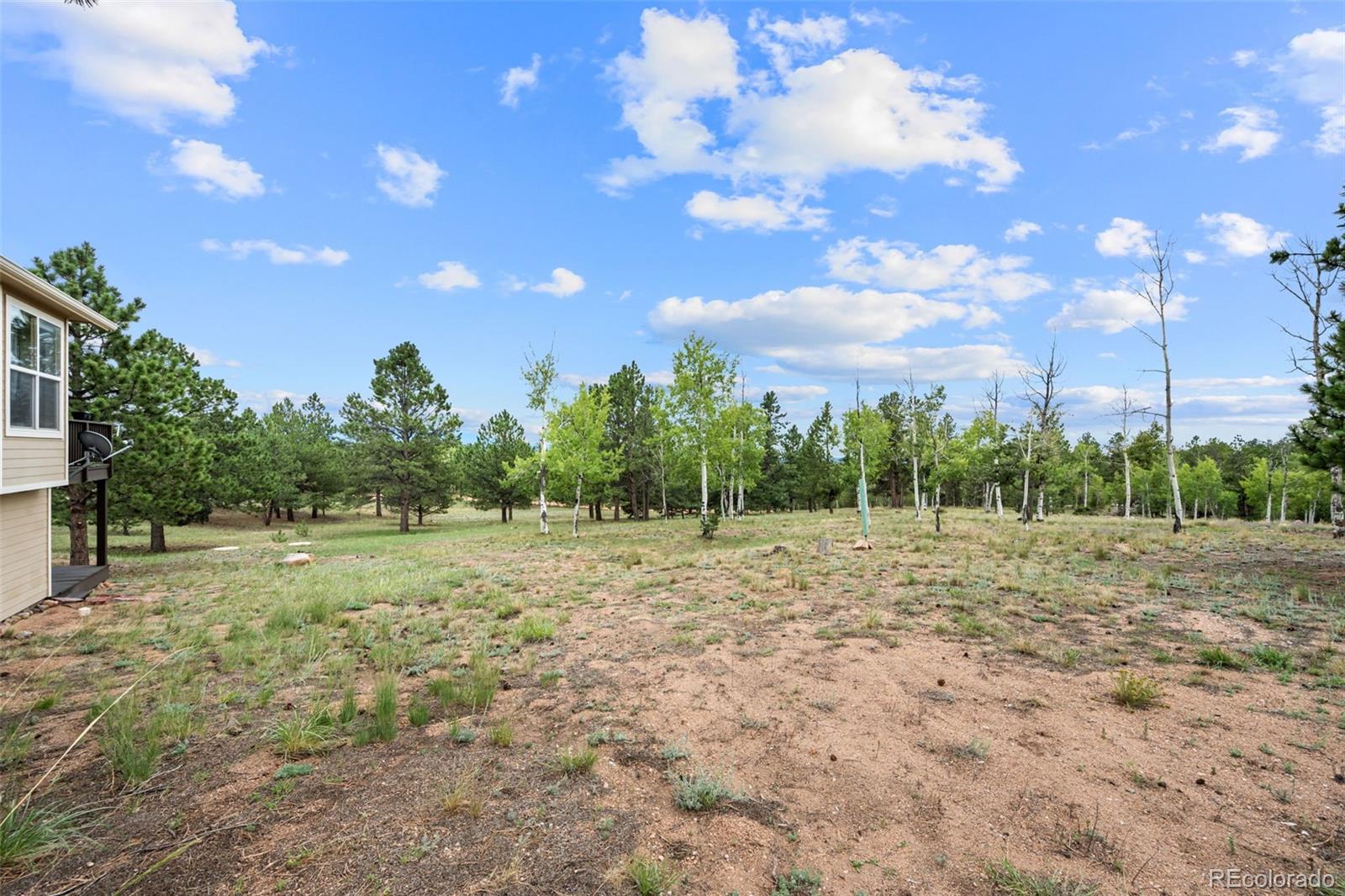 MLS Image #28 for 55  crystal peak drive,lake george, Colorado