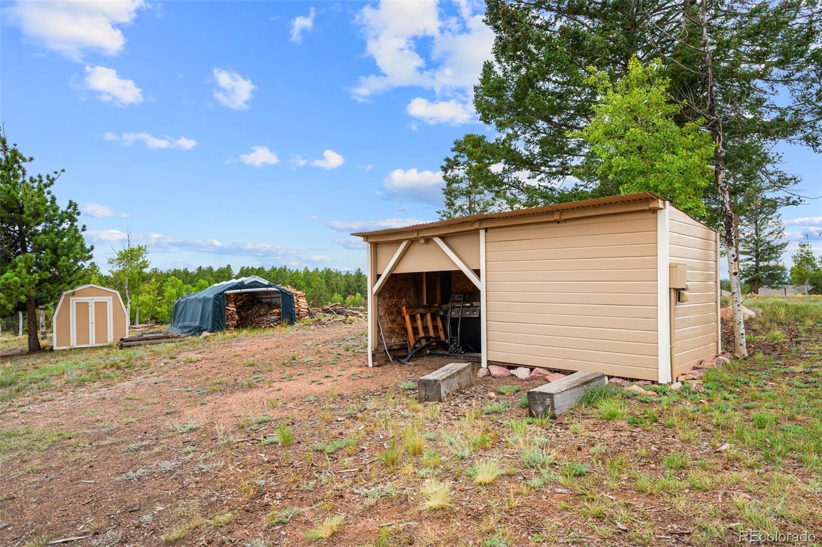 MLS Image #29 for 55  crystal peak drive,lake george, Colorado