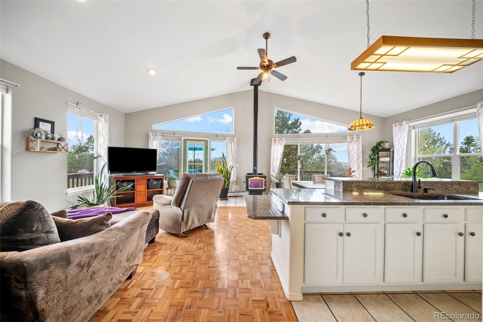 MLS Image #3 for 55  crystal peak drive,lake george, Colorado