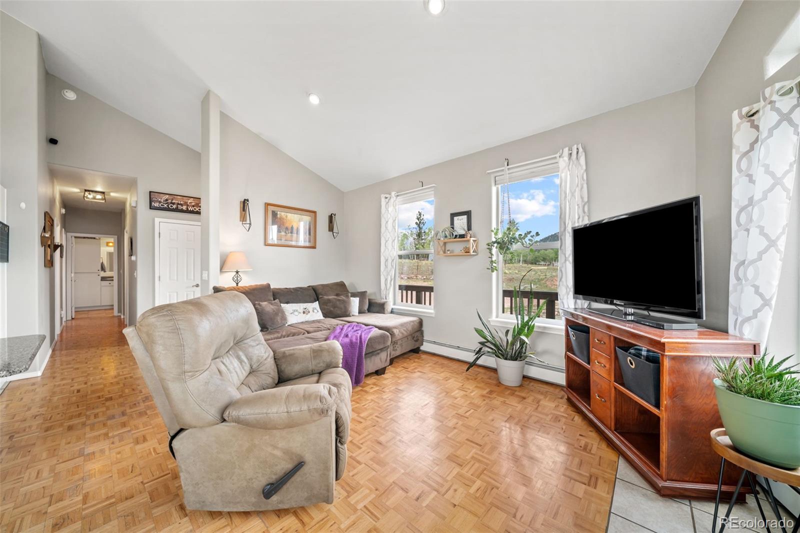 MLS Image #4 for 55  crystal peak drive,lake george, Colorado