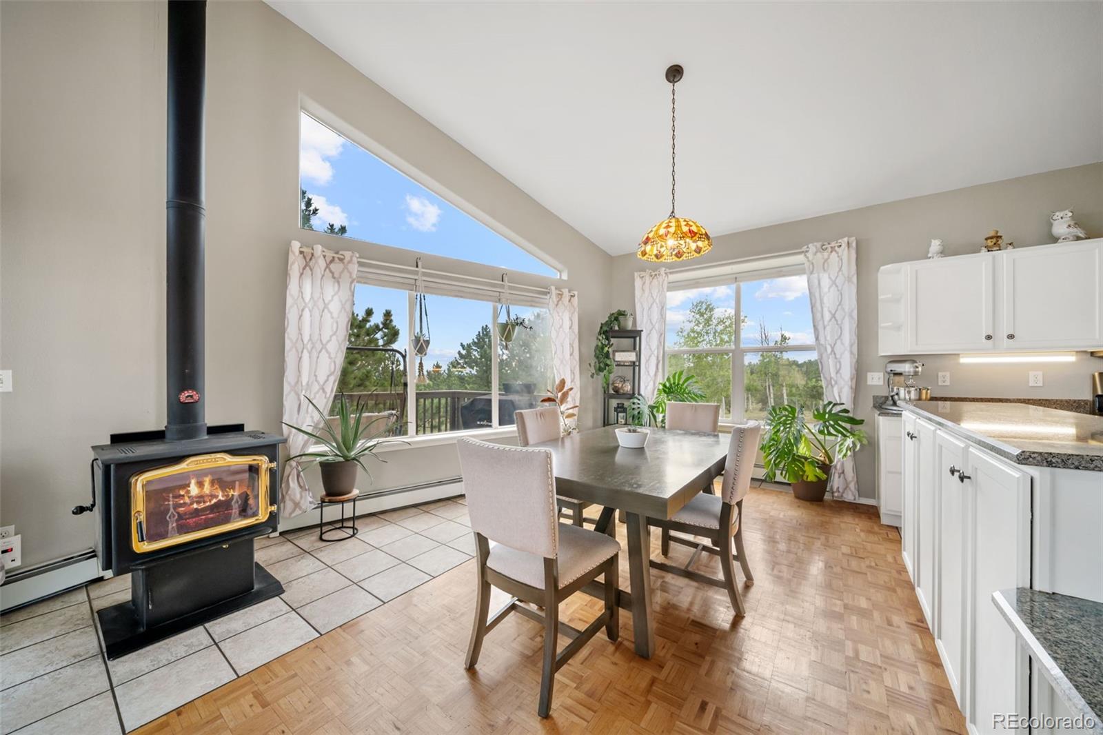 MLS Image #5 for 55  crystal peak drive,lake george, Colorado