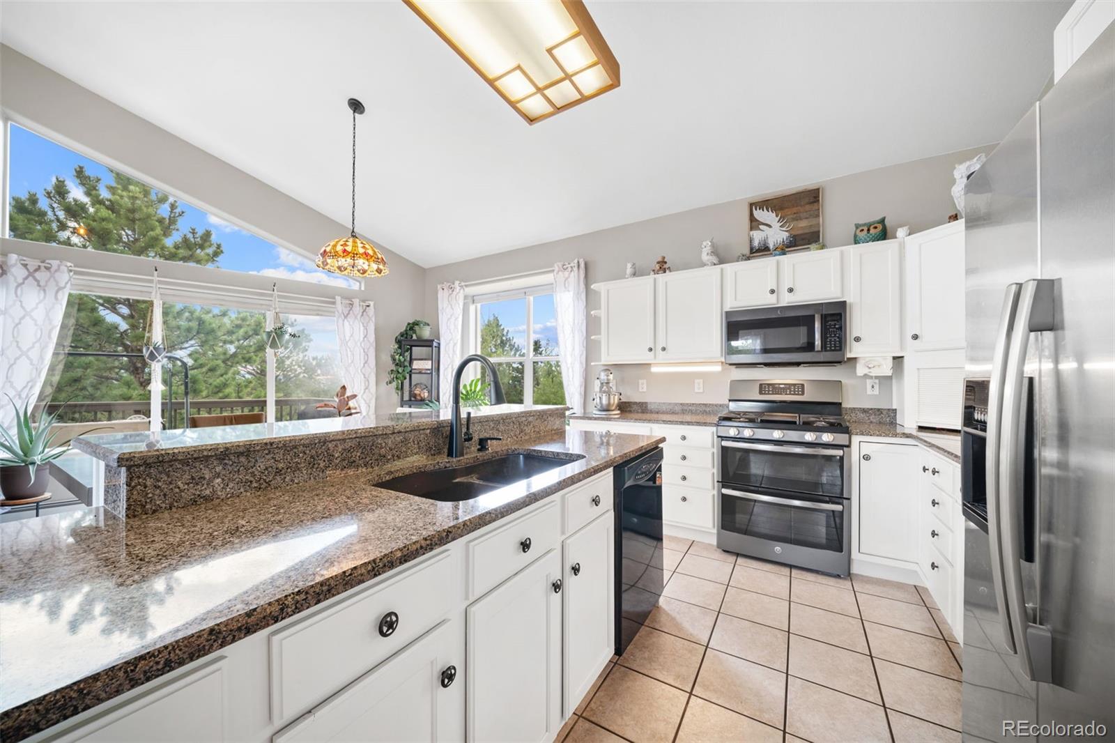 MLS Image #7 for 55  crystal peak drive,lake george, Colorado