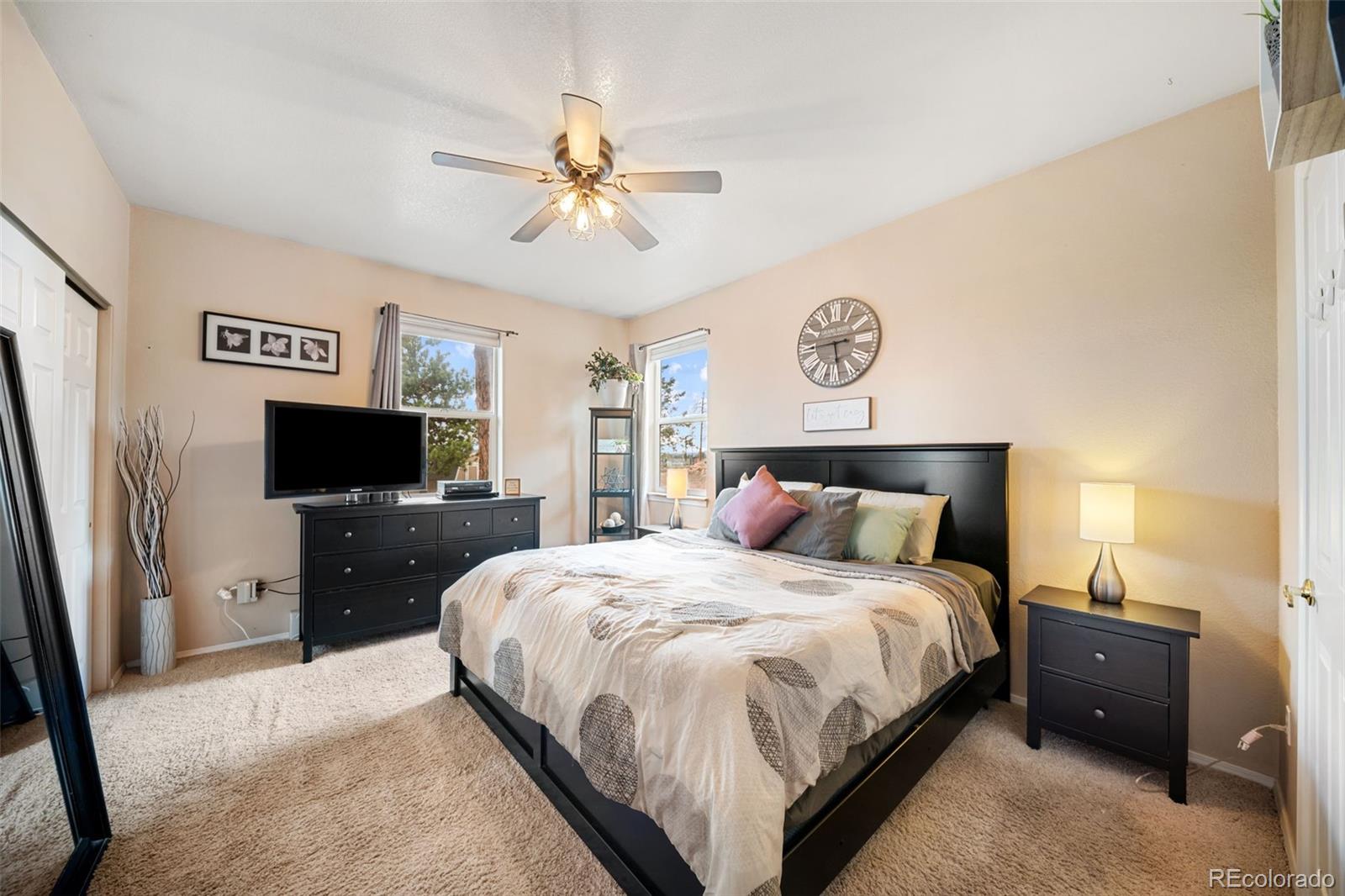 MLS Image #8 for 55  crystal peak drive,lake george, Colorado