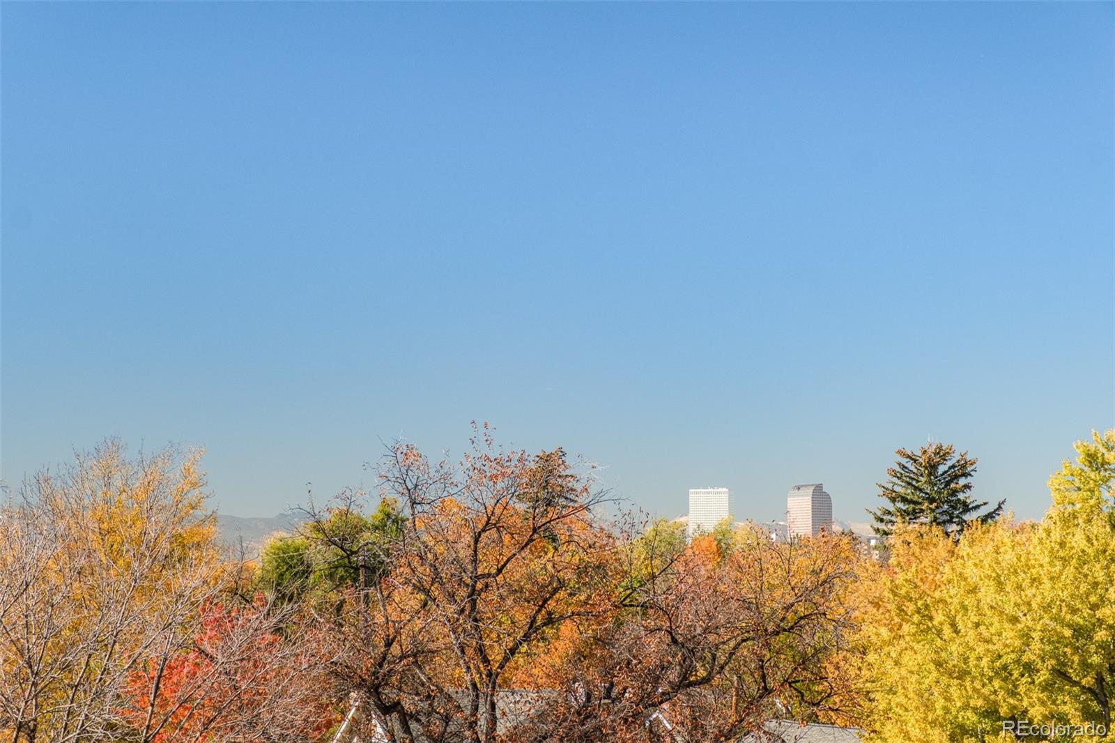 MLS Image #39 for 570  cook street,denver, Colorado