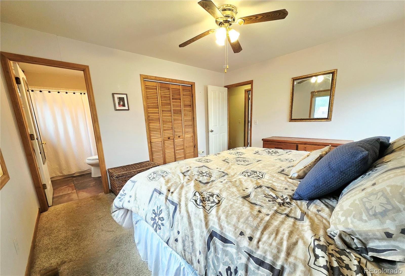 MLS Image #11 for 1692  cr-12 ,fairplay, Colorado