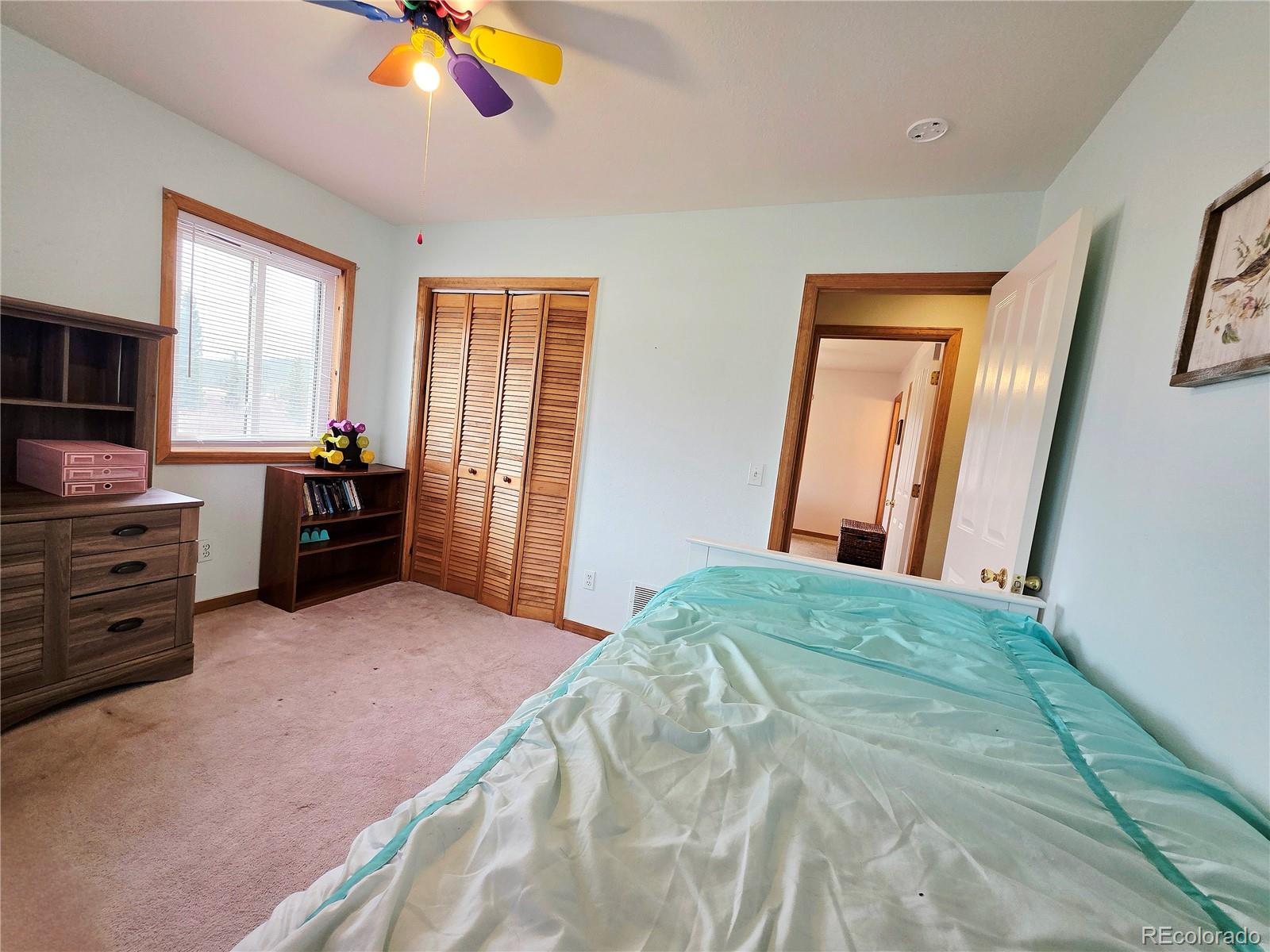 MLS Image #21 for 1692  cr-12 ,fairplay, Colorado