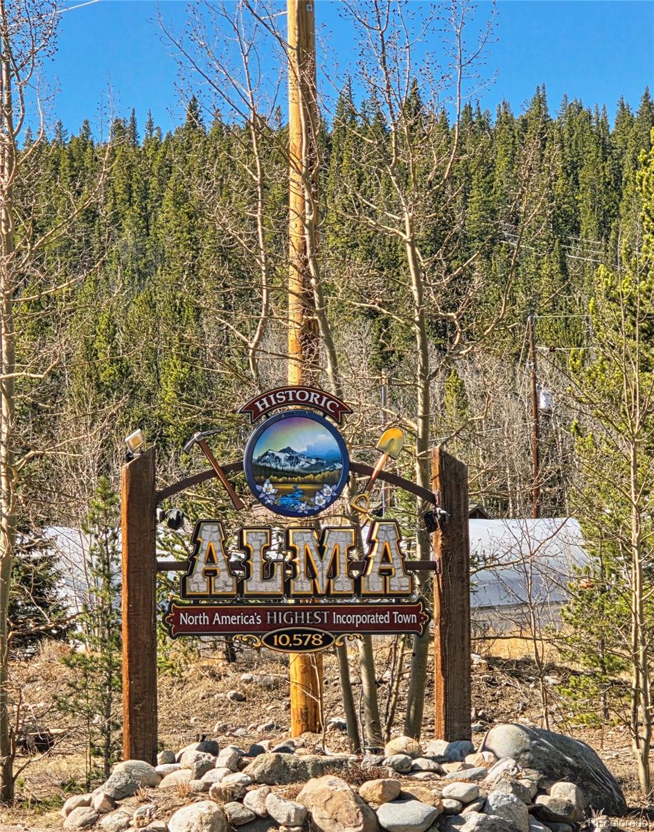 MLS Image #42 for 1692  cr-12 ,fairplay, Colorado