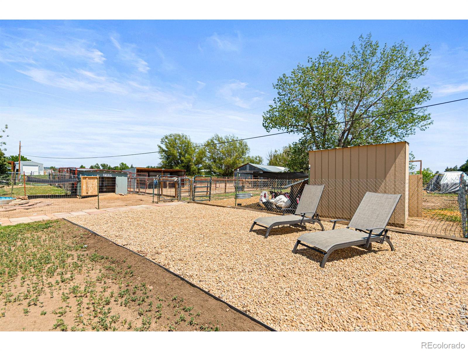 MLS Image #38 for 2012  charro avenue,longmont, Colorado