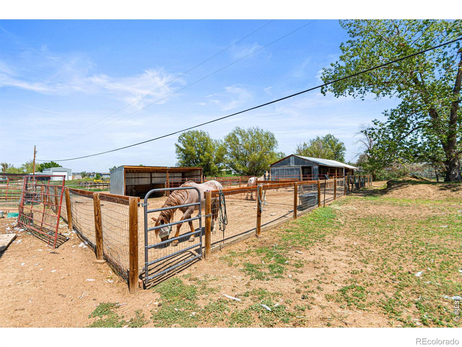 MLS Image #39 for 2012  charro avenue,longmont, Colorado