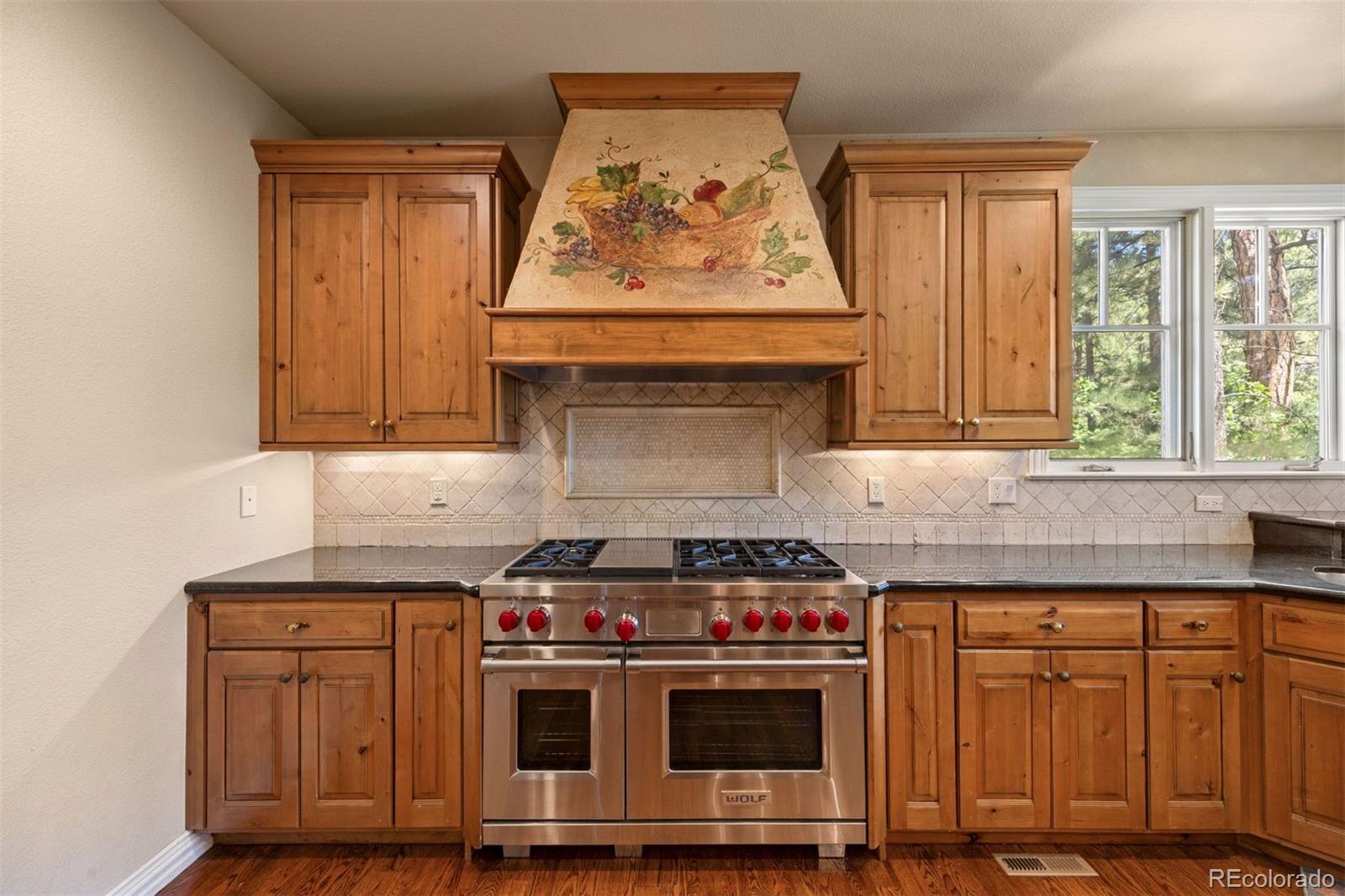 MLS Image #22 for 524 s castle pines drive,castle rock, Colorado