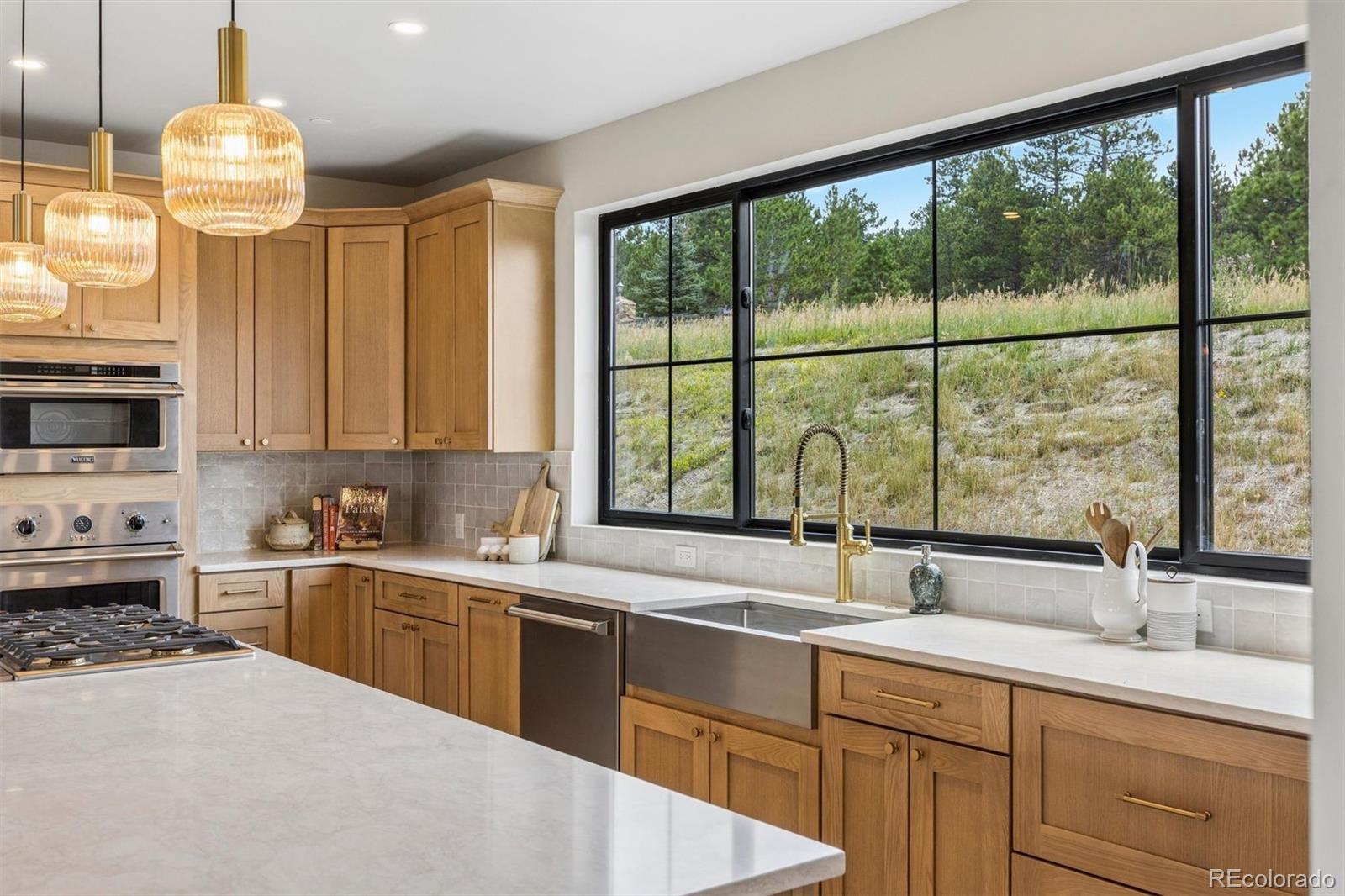 MLS Image #14 for 21761  falcon wing road,indian hills, Colorado