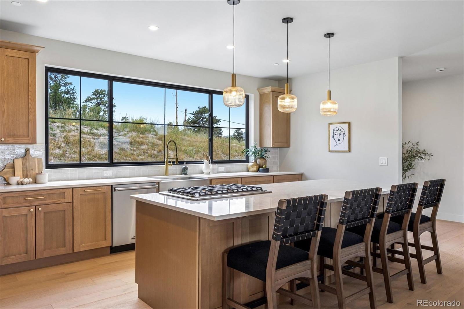 MLS Image #16 for 21761  falcon wing road,indian hills, Colorado