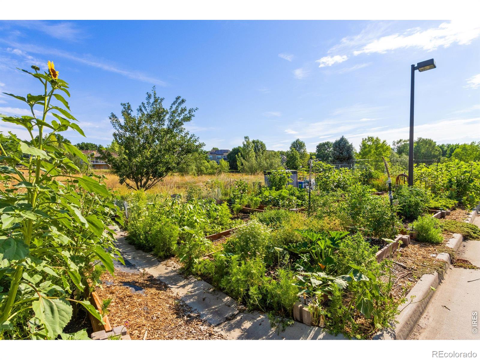 MLS Image #21 for 5620  fossil creek parkway,fort collins, Colorado