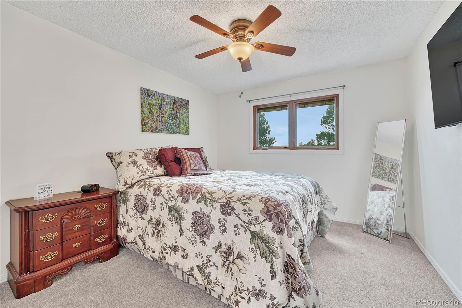 MLS Image #23 for 473 s larkspur drive,castle rock, Colorado
