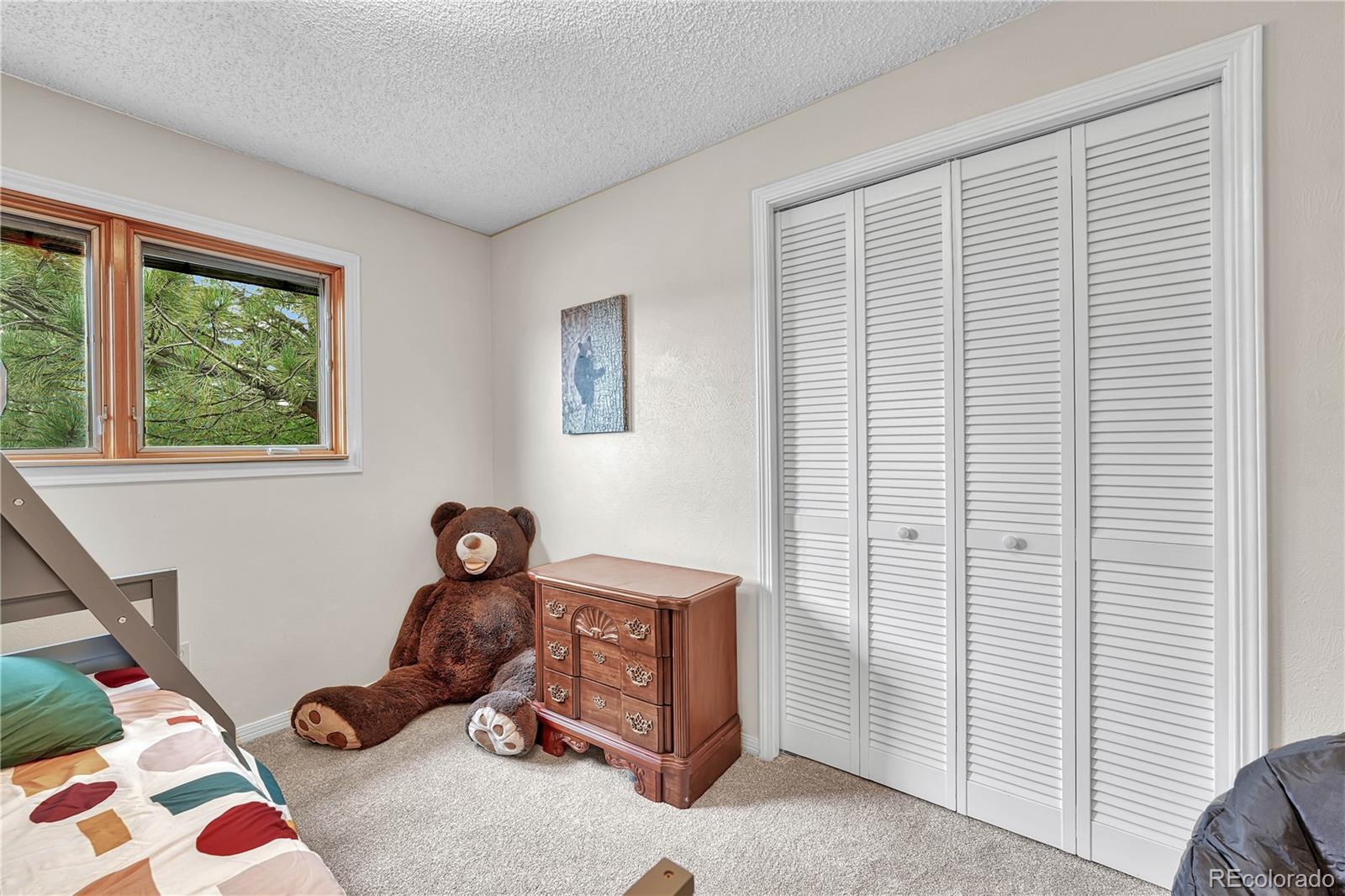 MLS Image #26 for 473 s larkspur drive,castle rock, Colorado