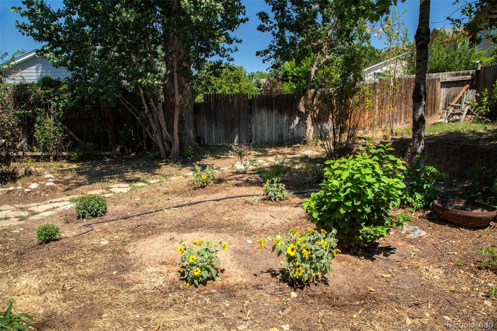 MLS Image #43 for 473 s larkspur drive,castle rock, Colorado