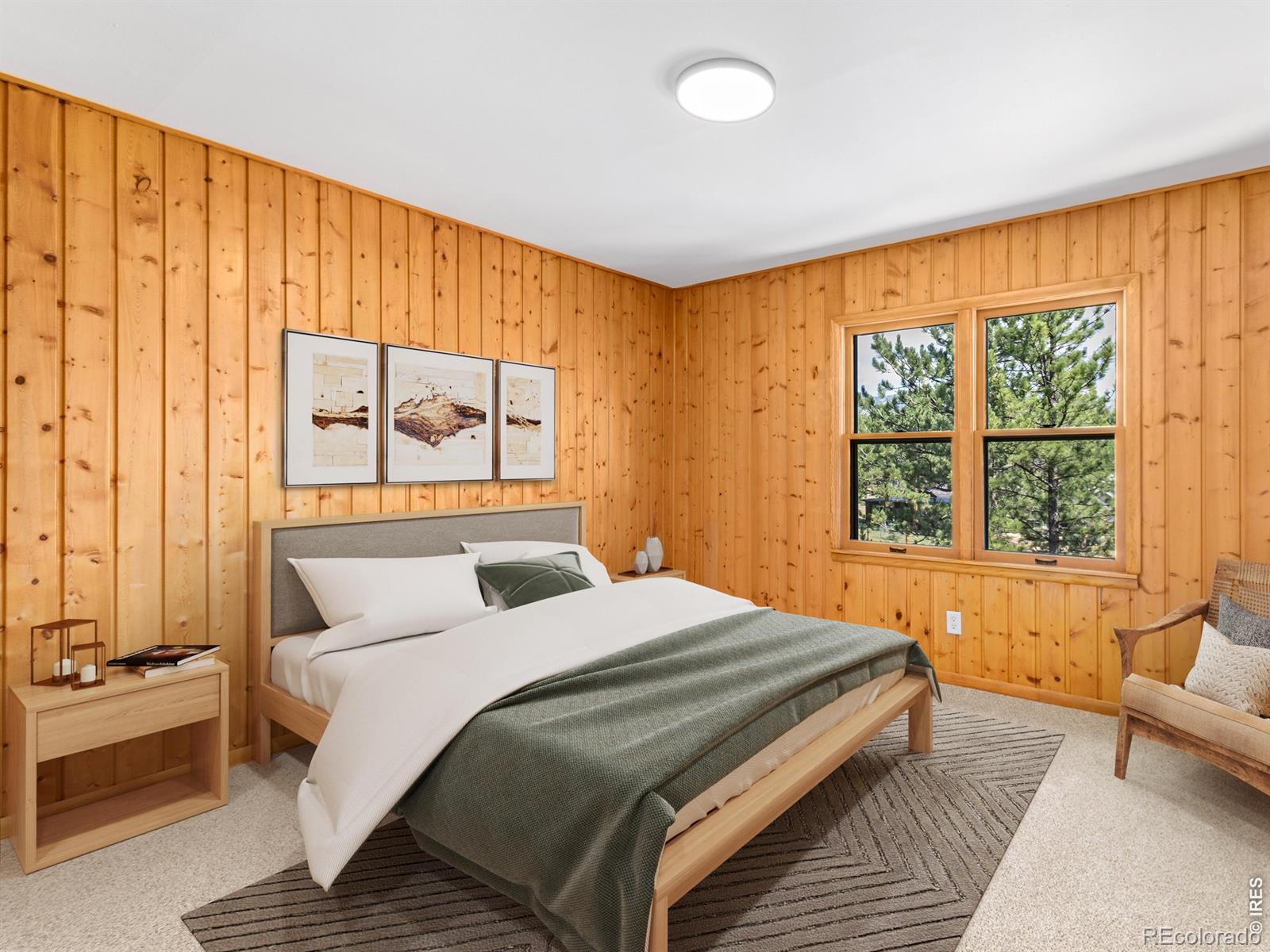 MLS Image #29 for 920  morgan street,estes park, Colorado