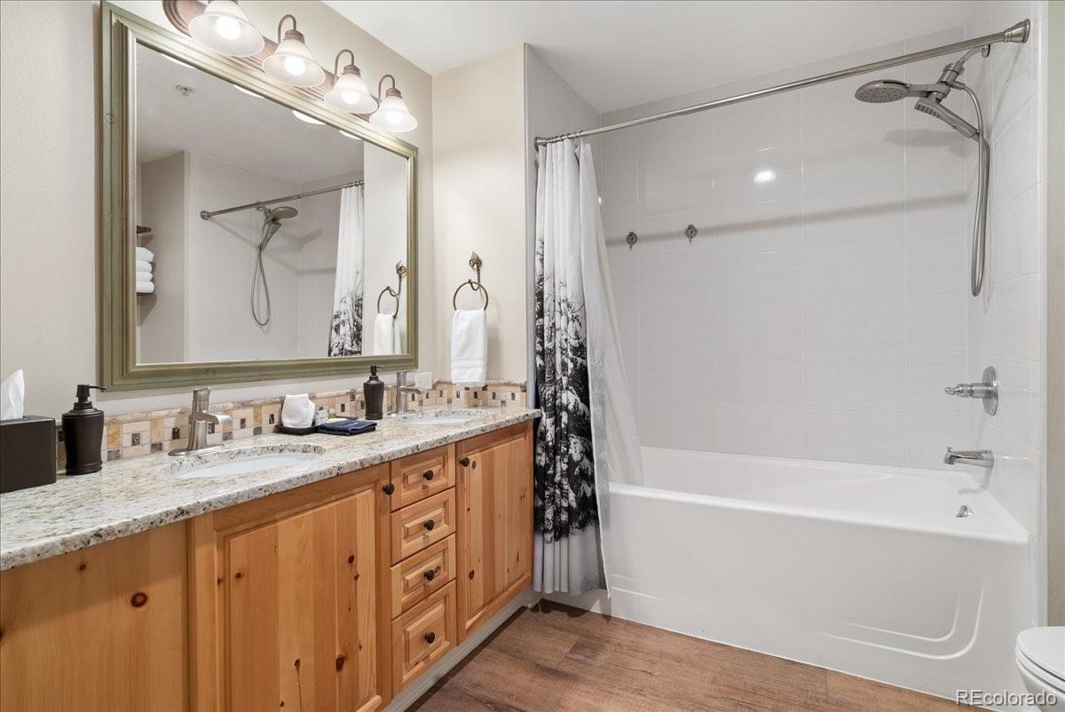 MLS Image #17 for 164  copper circle,frisco, Colorado