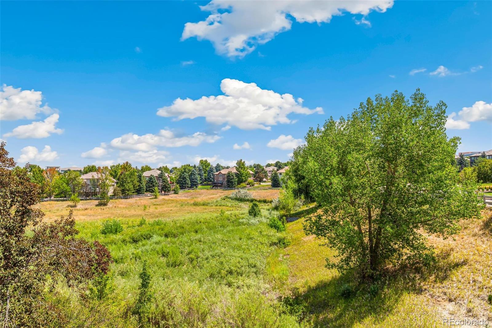 MLS Image #25 for 9178 s cedar hill way,lone tree, Colorado