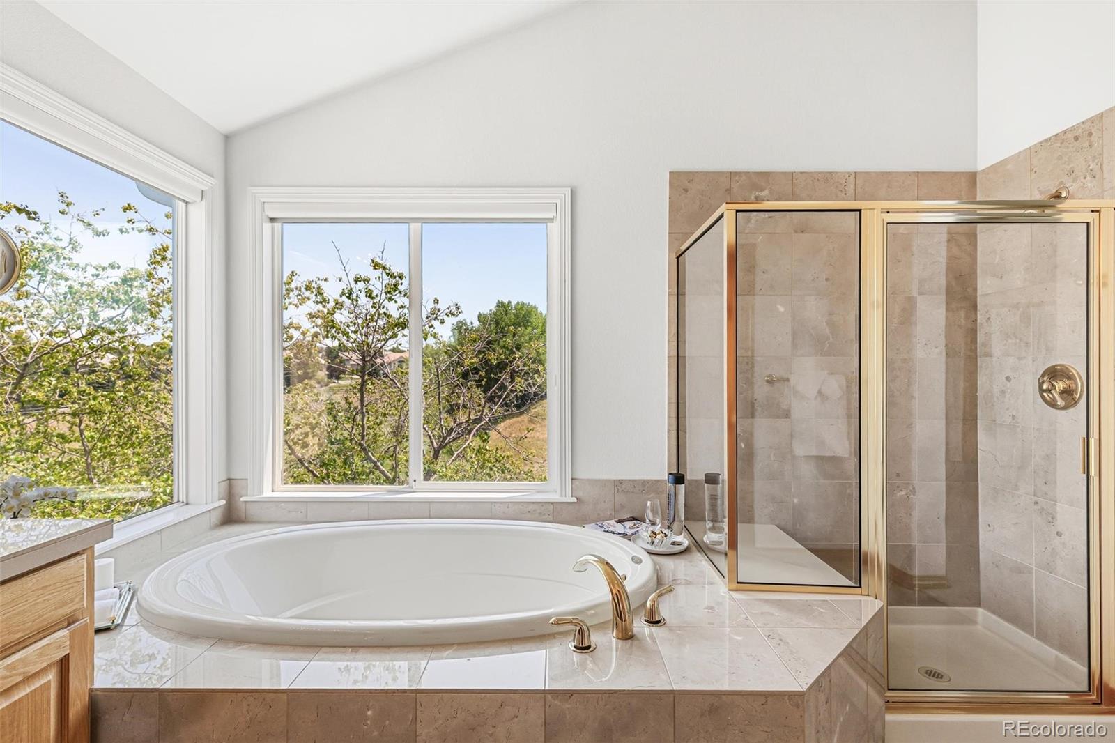 MLS Image #31 for 9178 s cedar hill way,lone tree, Colorado