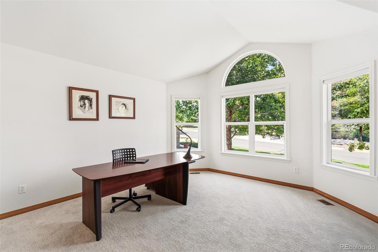 MLS Image #6 for 9178 s cedar hill way,lone tree, Colorado