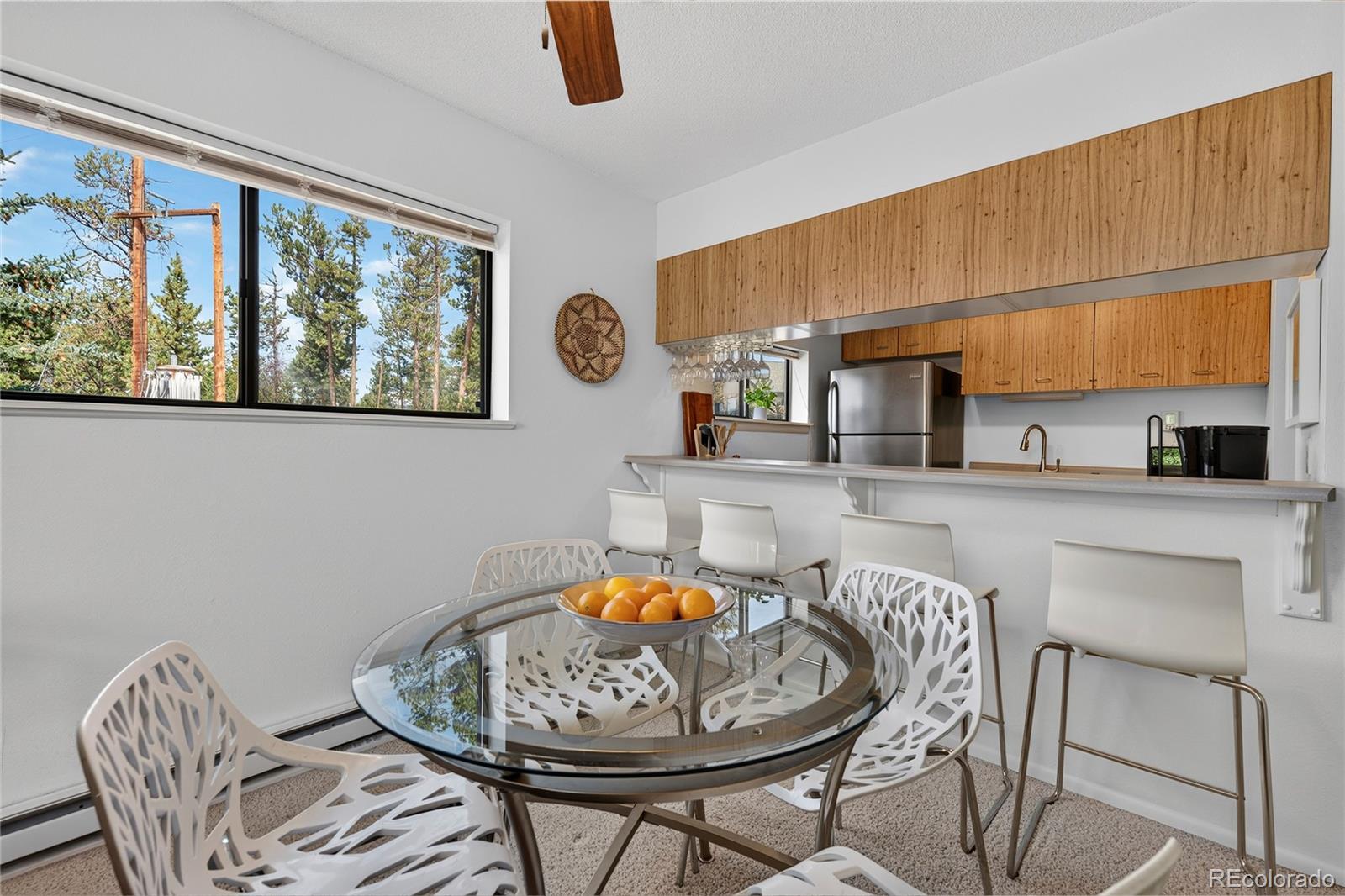 MLS Image #9 for 444  county road 832 ,fraser, Colorado