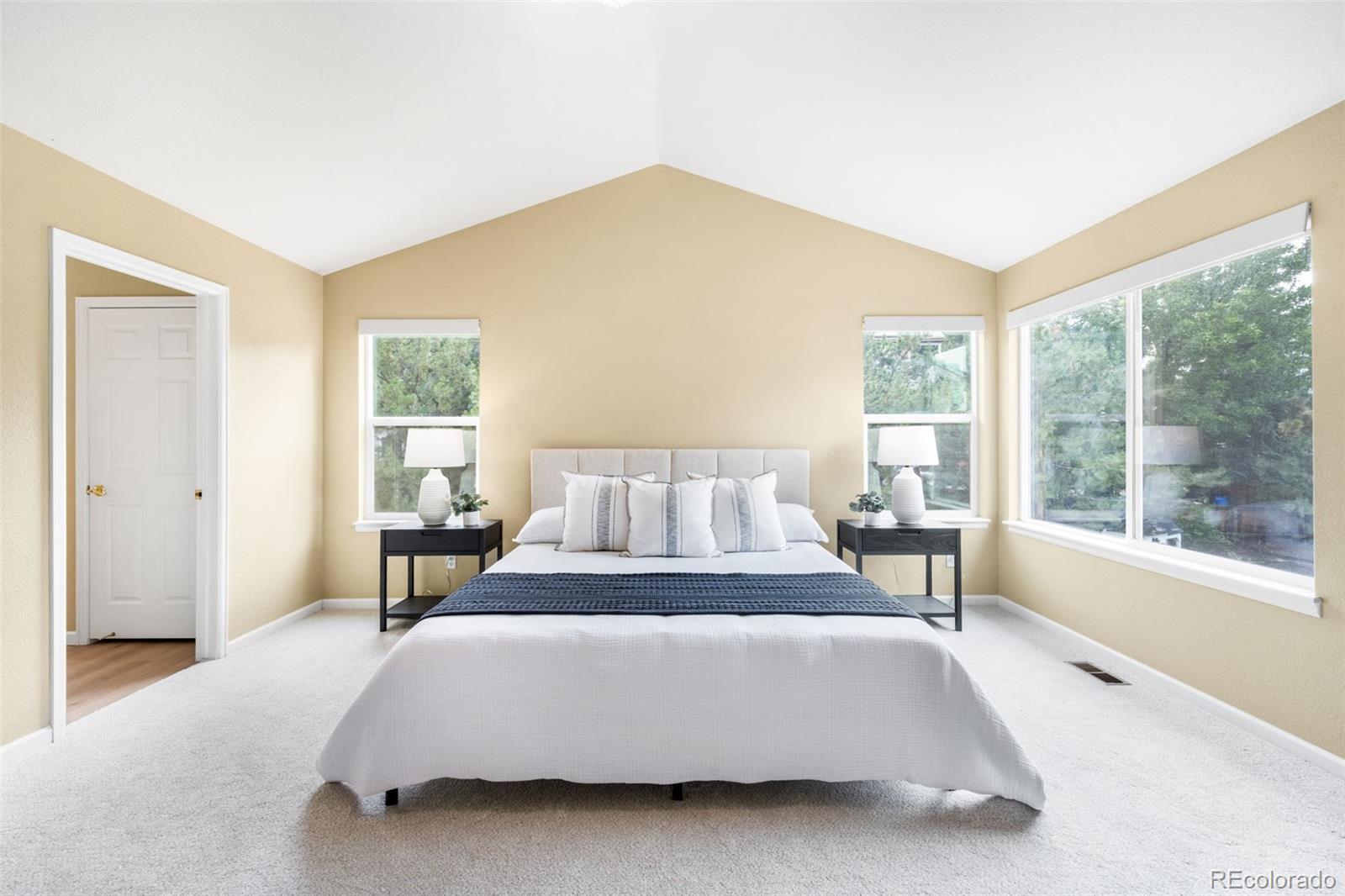 MLS Image #16 for 10090  eagle valley way,littleton, Colorado
