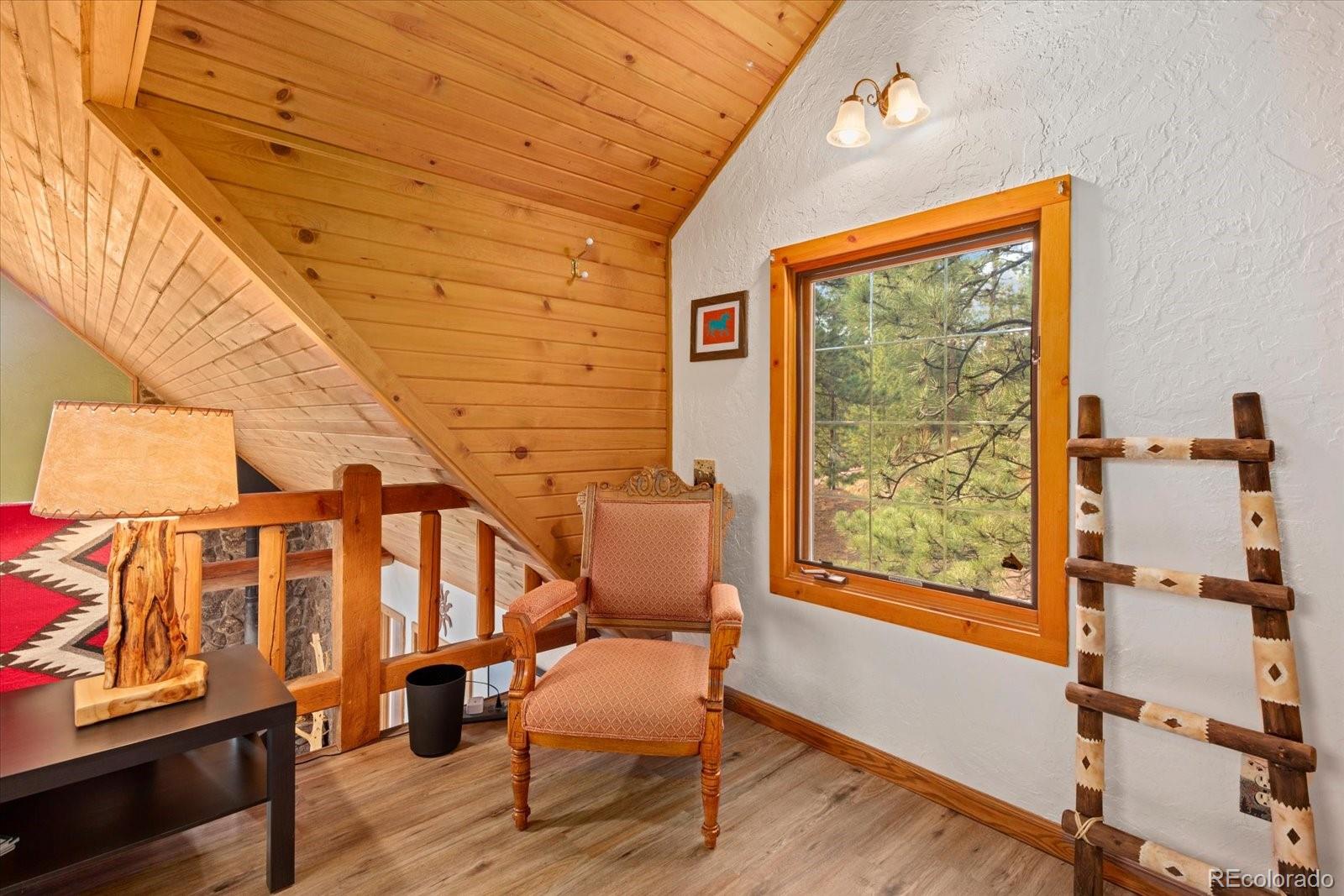 MLS Image #21 for 120  2nd street,guffey, Colorado