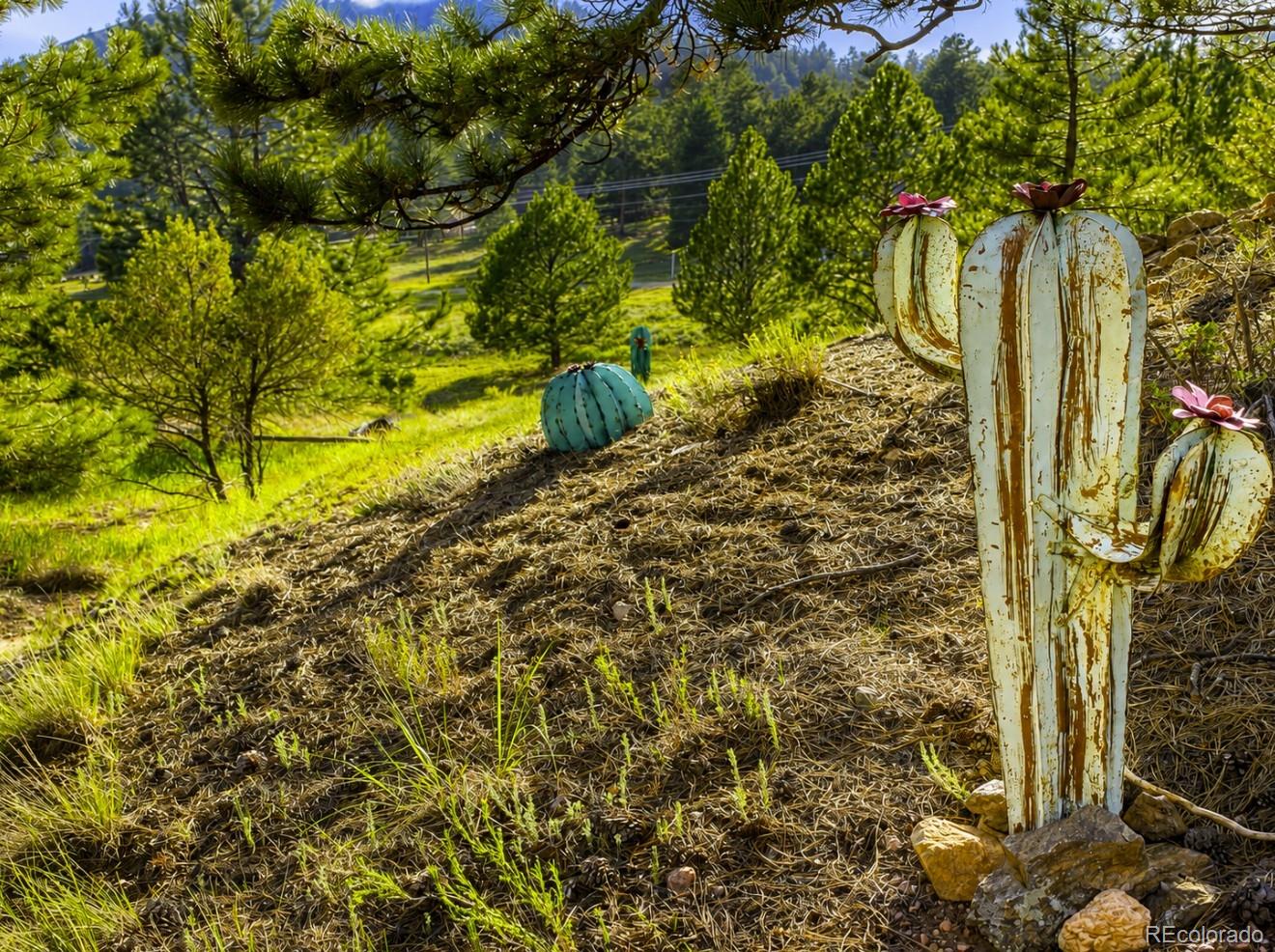 MLS Image #28 for 120  2nd street,guffey, Colorado