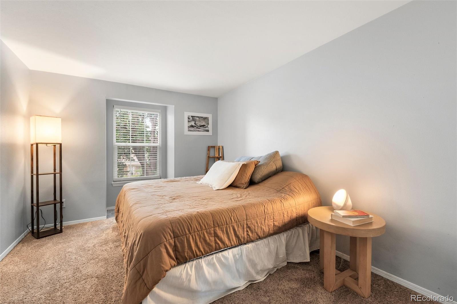 MLS Image #16 for 9908  grove way,westminster, Colorado