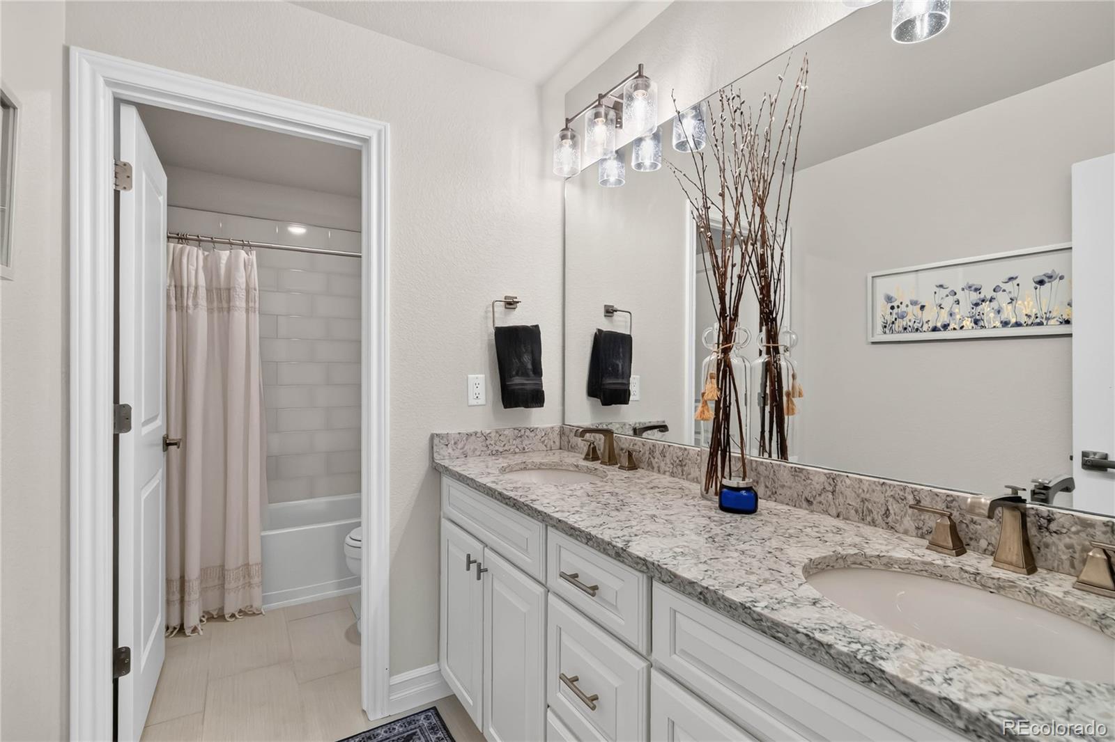 MLS Image #26 for 5158  ditmars lane,castle rock, Colorado