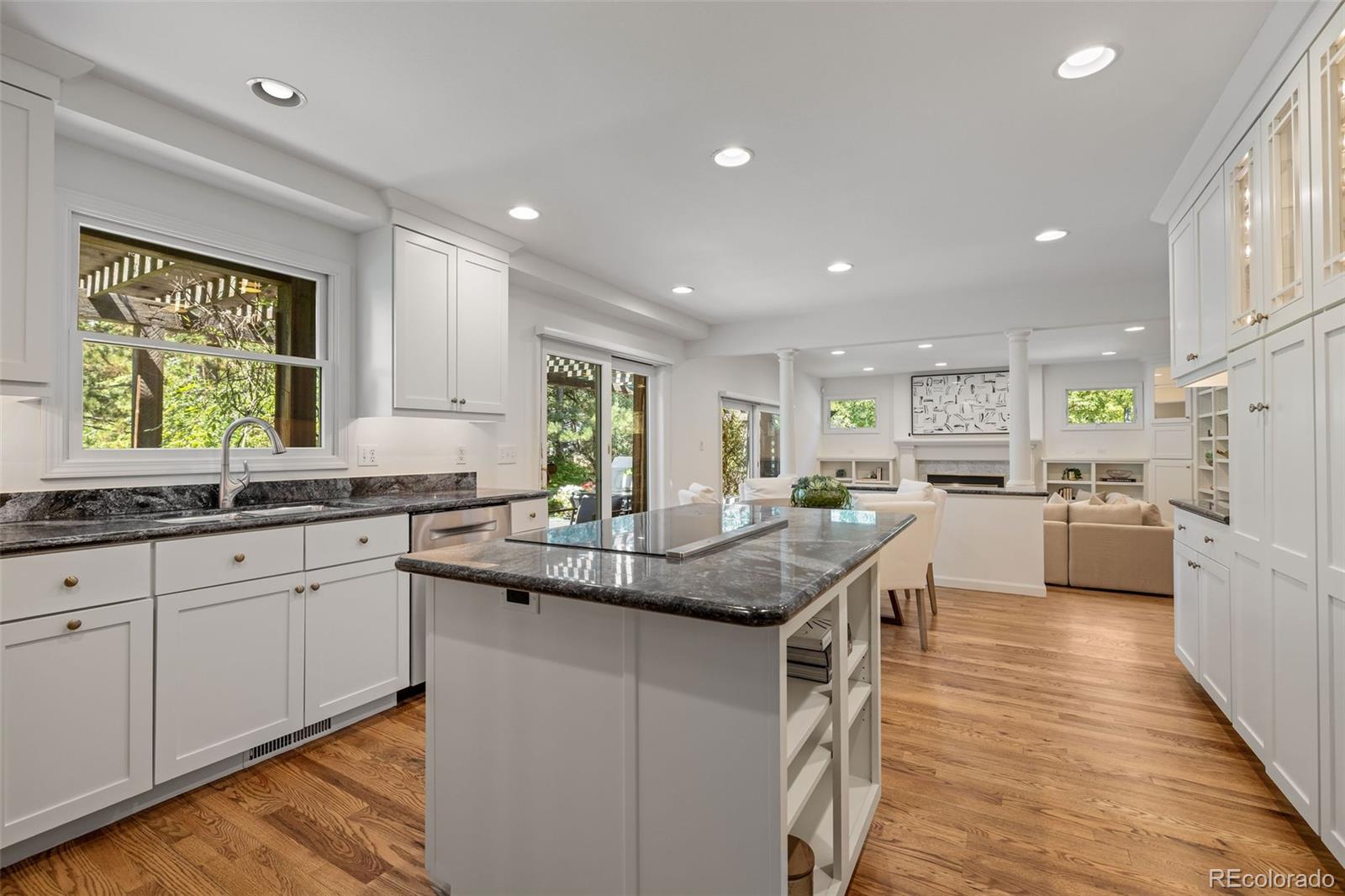 MLS Image #9 for 1300  green oaks drive,greenwood village, Colorado