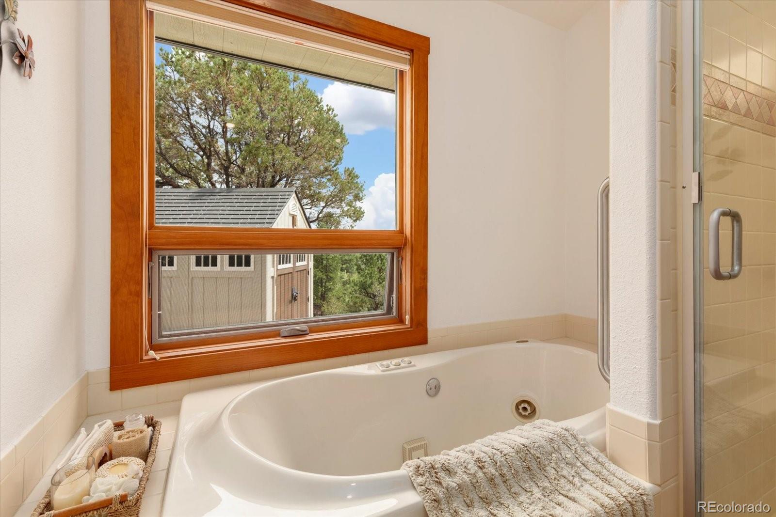 MLS Image #21 for 13030  county road 261d ,nathrop, Colorado