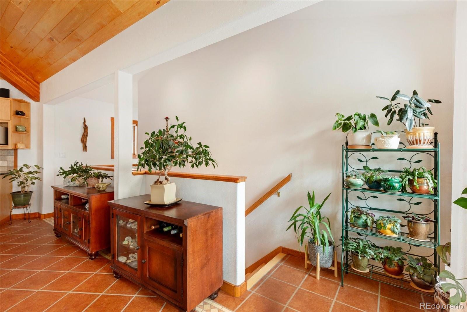 MLS Image #28 for 13030  county road 261d ,nathrop, Colorado