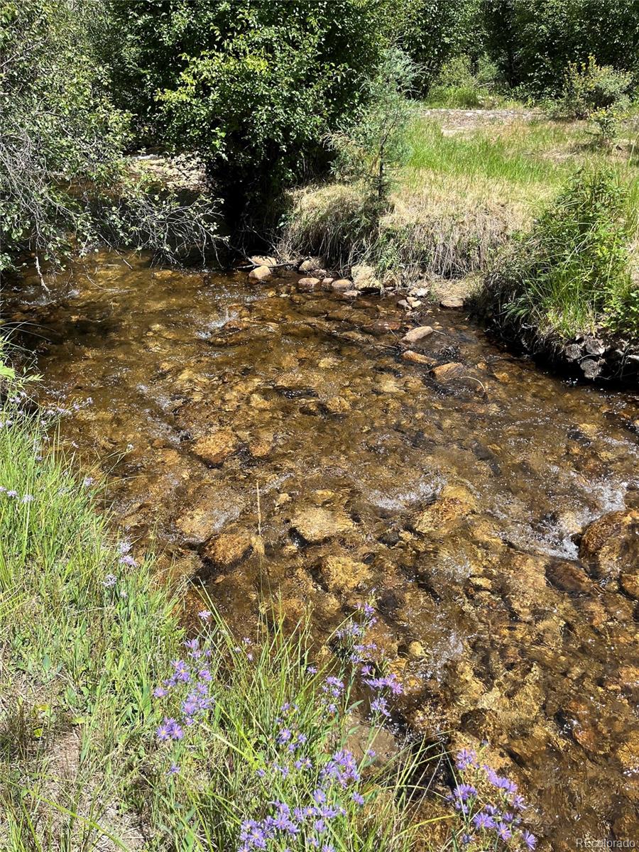 MLS Image #4 for 13030  county road 261d ,nathrop, Colorado