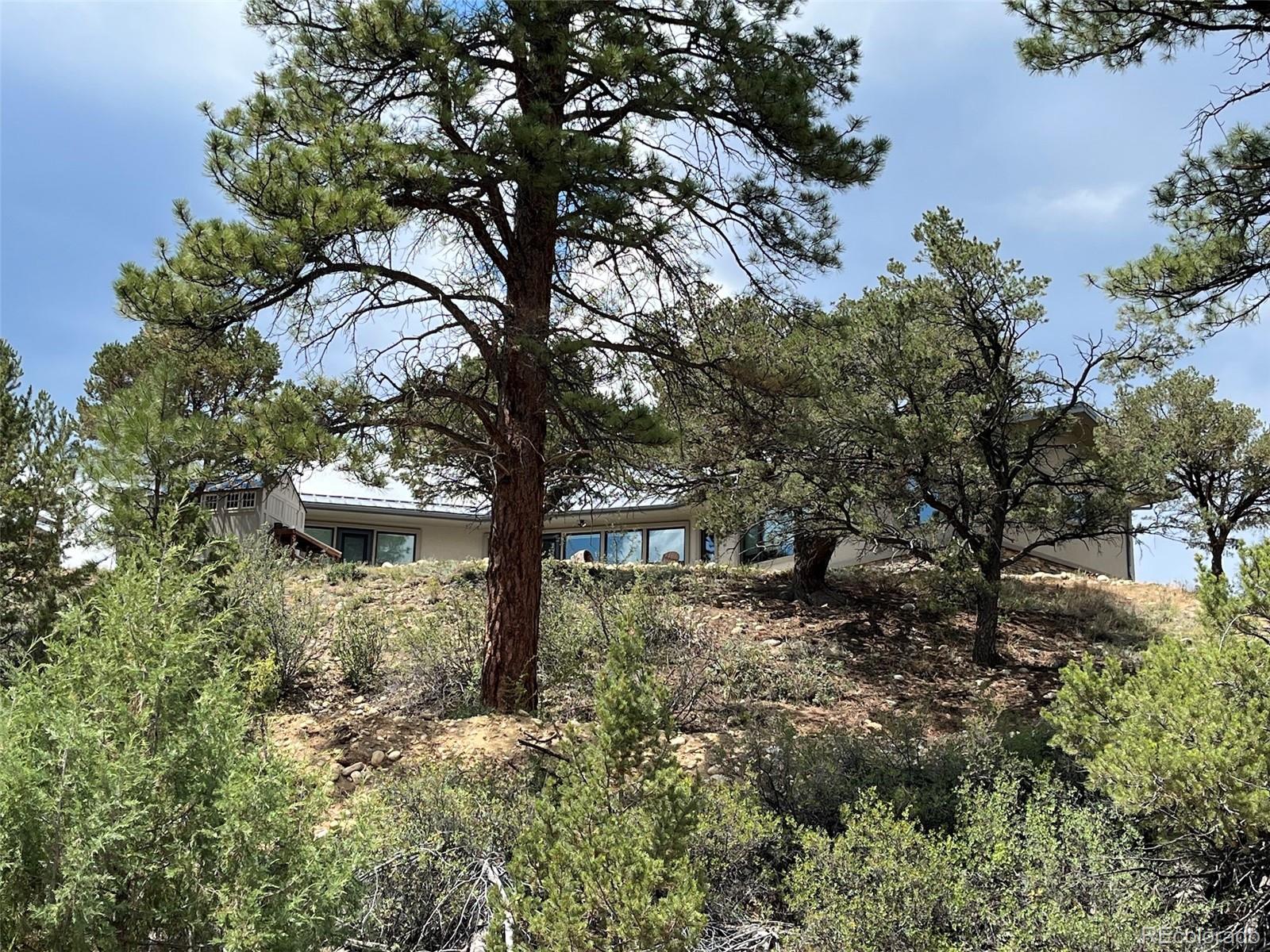 MLS Image #45 for 13030  county road 261d ,nathrop, Colorado