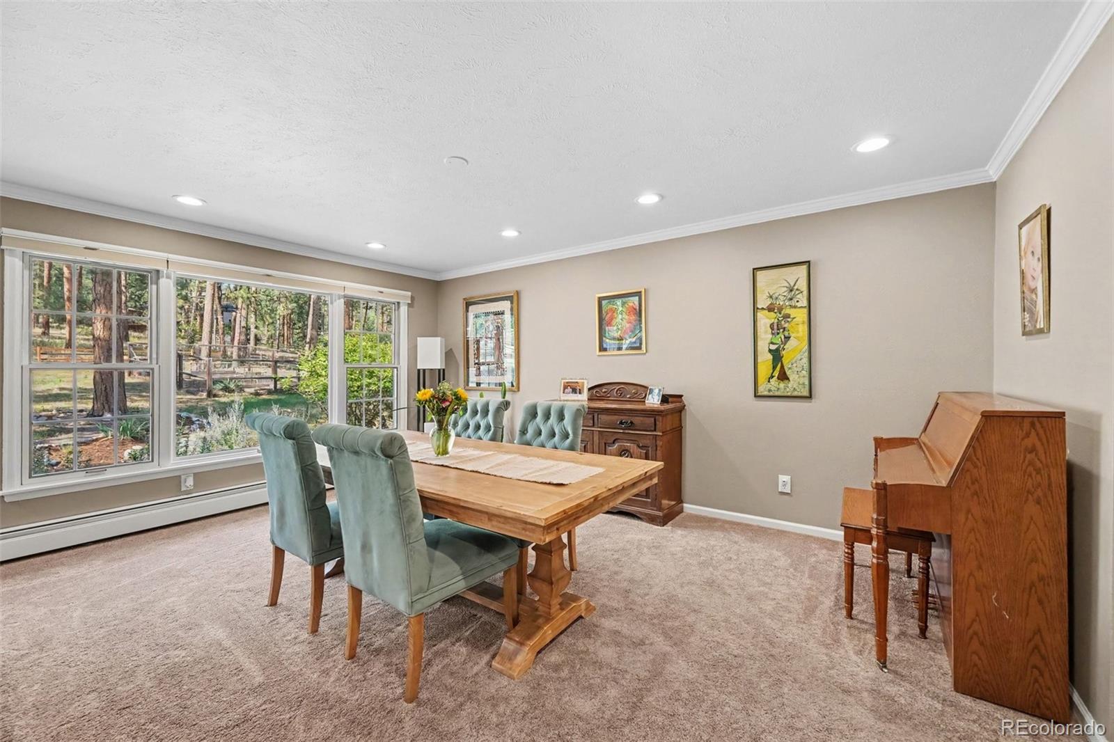 MLS Image #6 for 4976  red rock drive,larkspur, Colorado