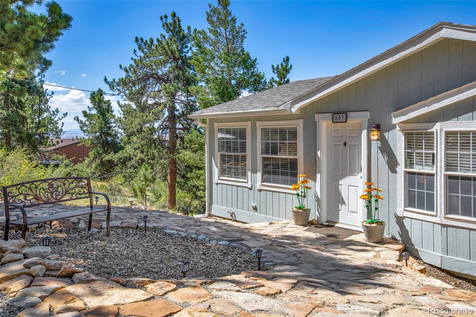 MLS Image #2 for 803  bonell drive,fairplay, Colorado