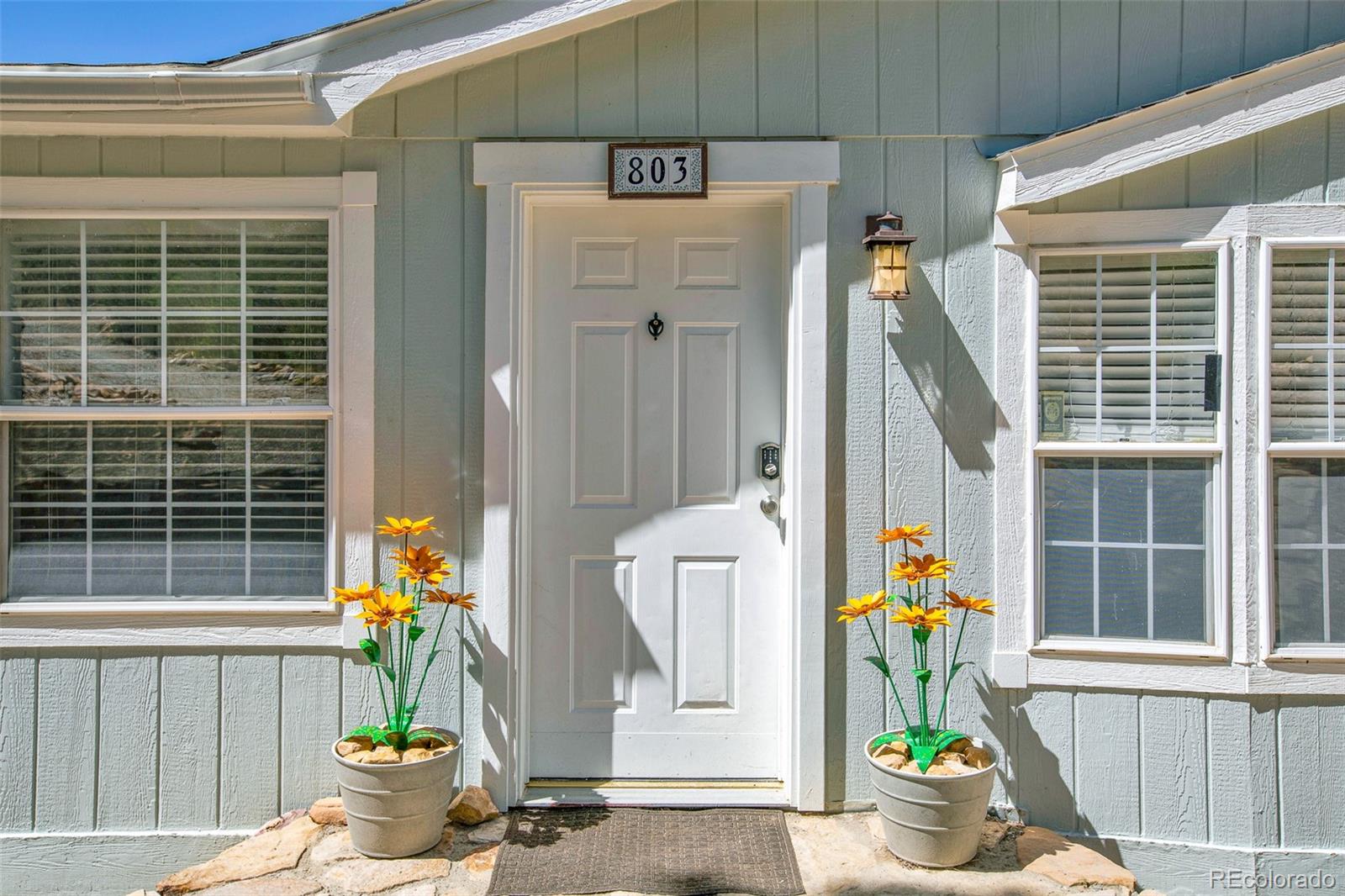 MLS Image #3 for 803  bonell drive,fairplay, Colorado