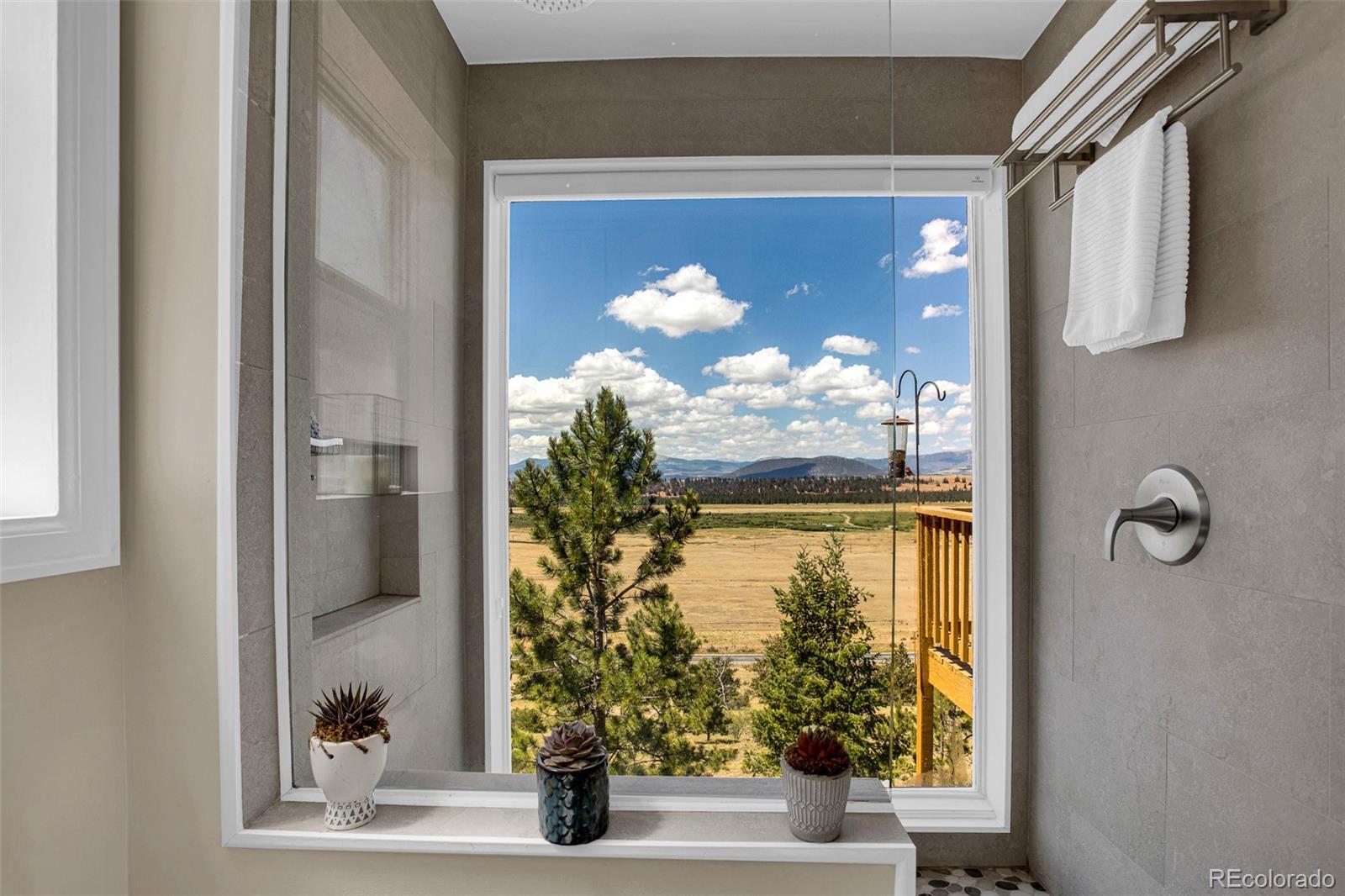 MLS Image #39 for 803  bonell drive,fairplay, Colorado