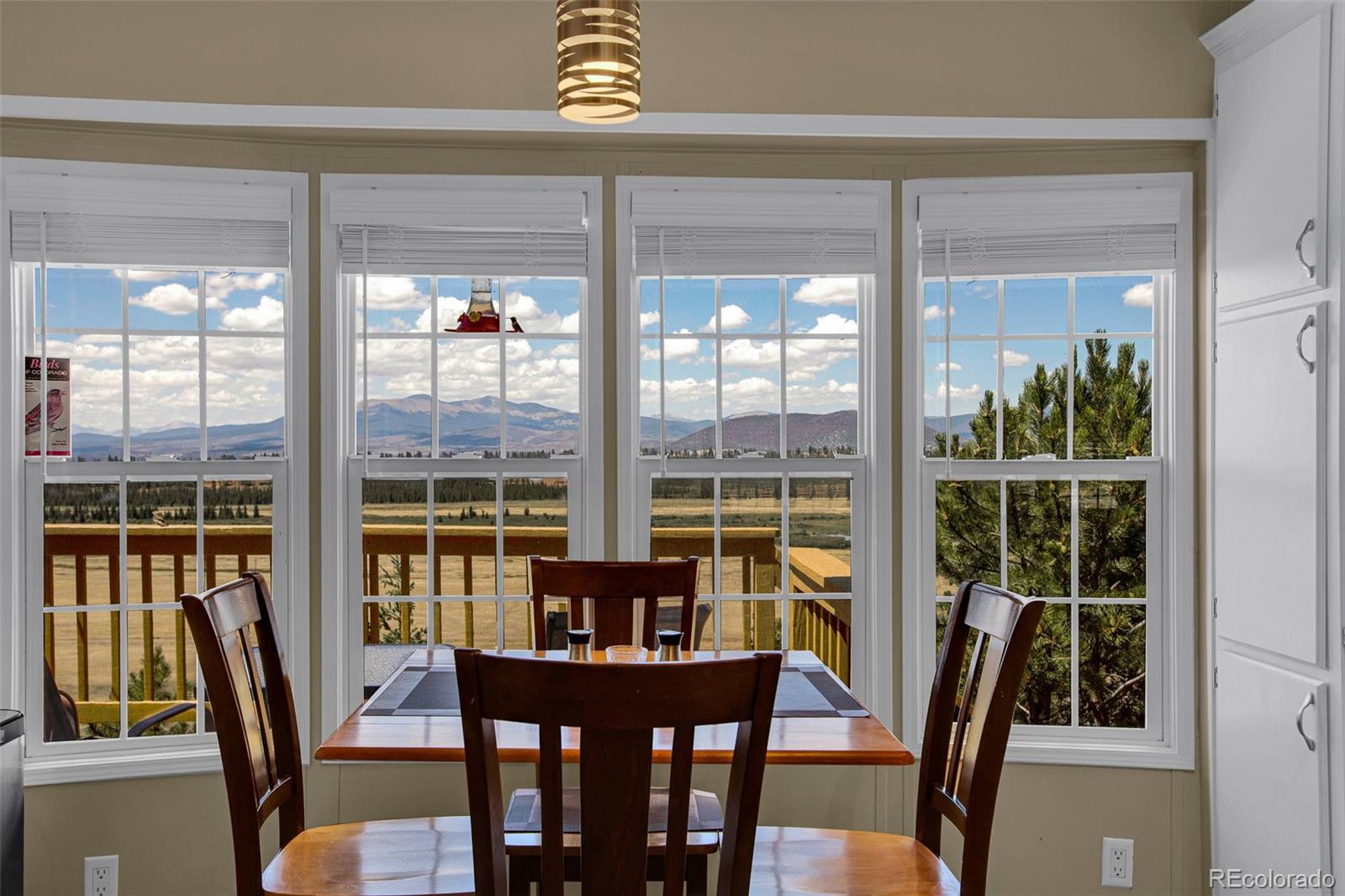 MLS Image #4 for 803  bonell drive,fairplay, Colorado