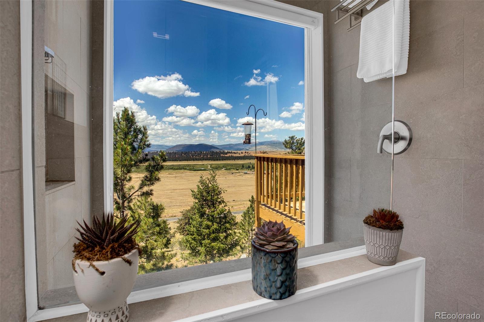 MLS Image #40 for 803  bonell drive,fairplay, Colorado