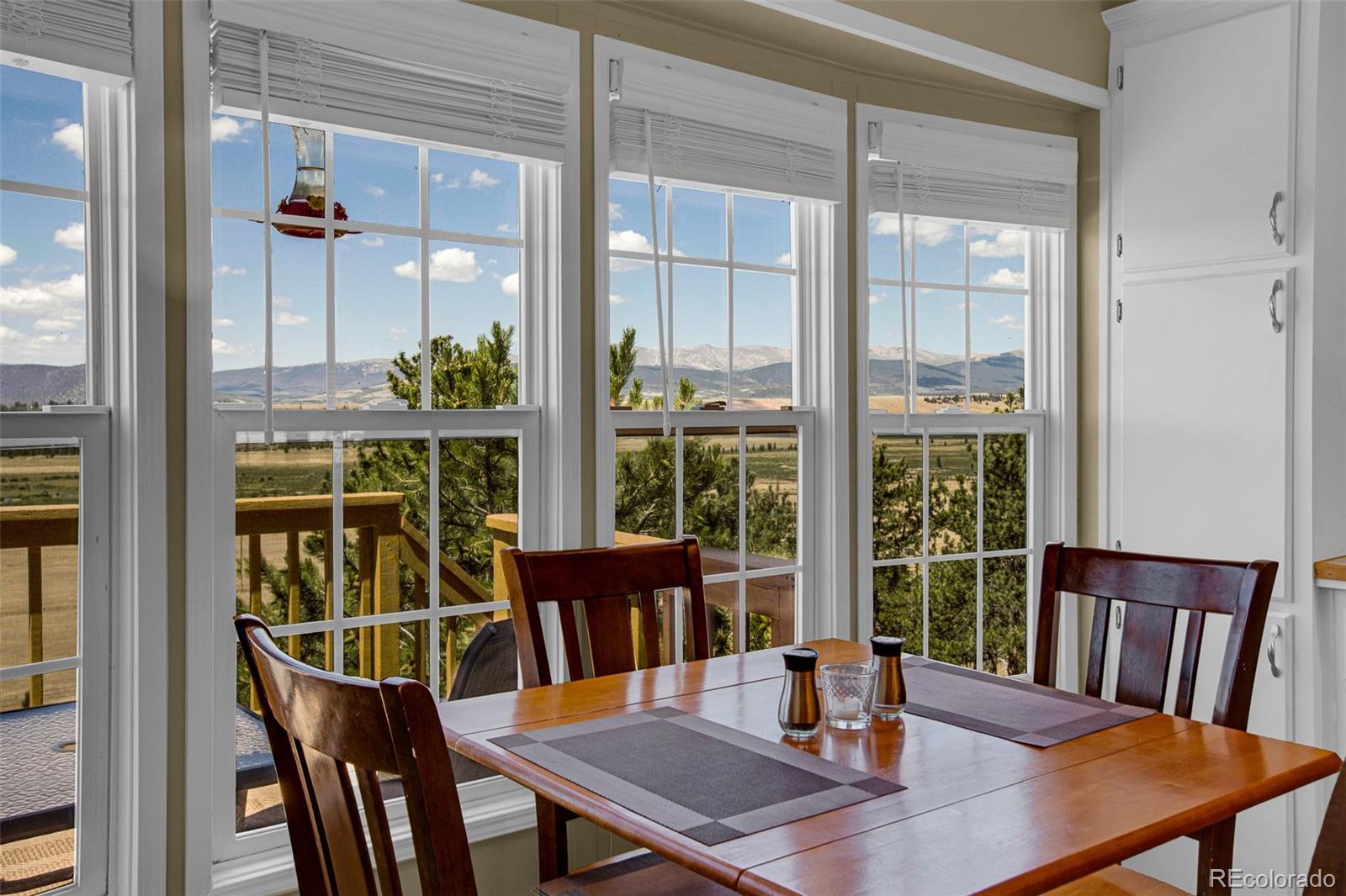 MLS Image #5 for 803  bonell drive,fairplay, Colorado