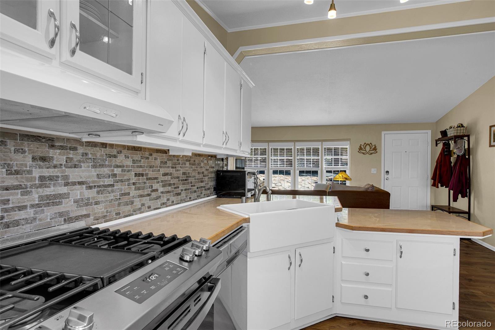 MLS Image #7 for 803  bonell drive,fairplay, Colorado