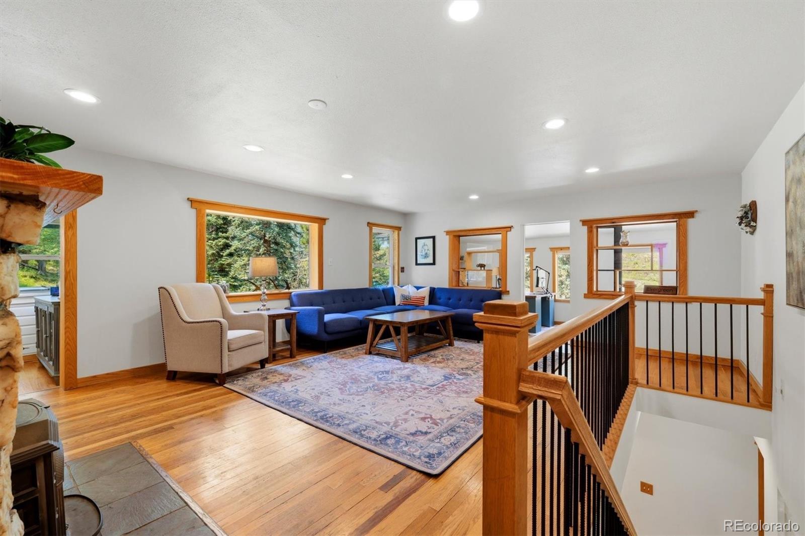 MLS Image #14 for 7006 s brook forest road,evergreen, Colorado
