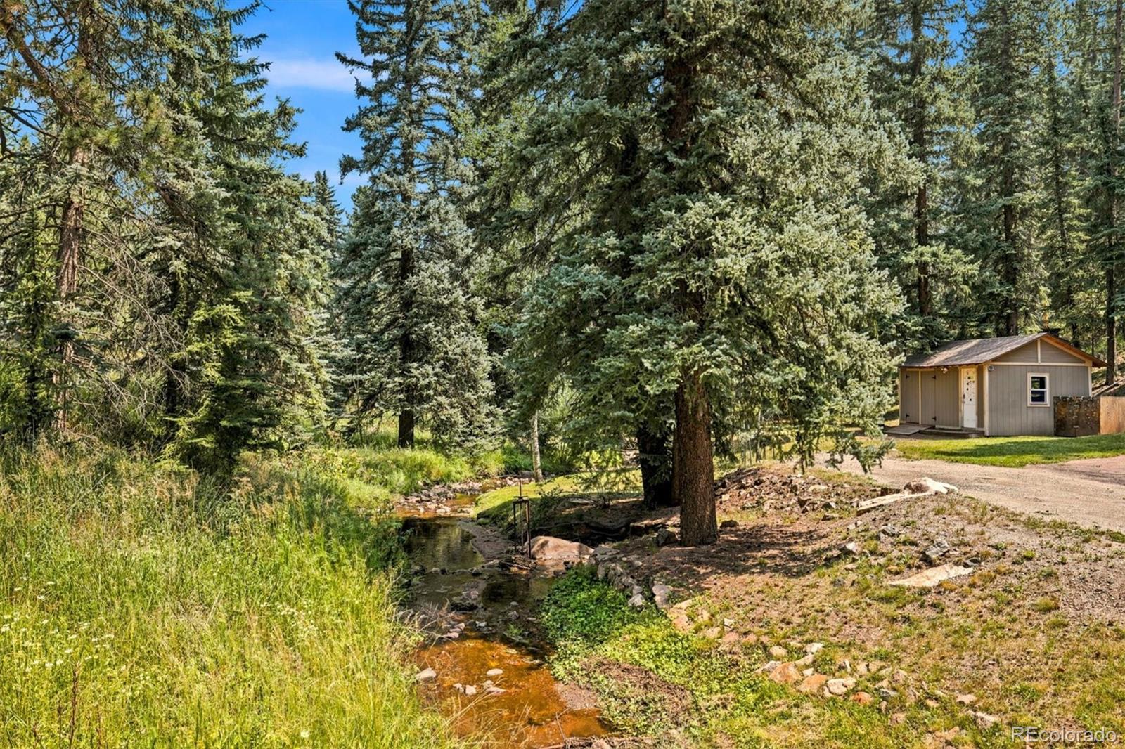 MLS Image #31 for 7006 s brook forest road,evergreen, Colorado