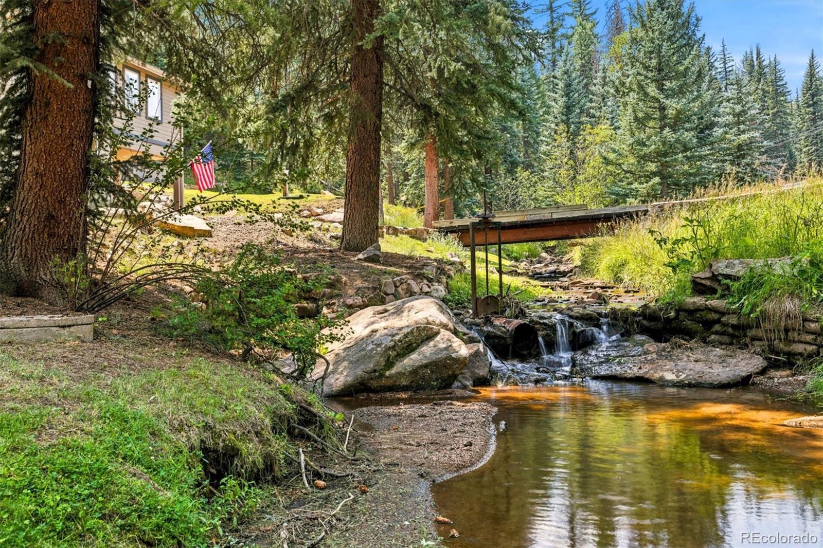MLS Image #4 for 7006 s brook forest road,evergreen, Colorado