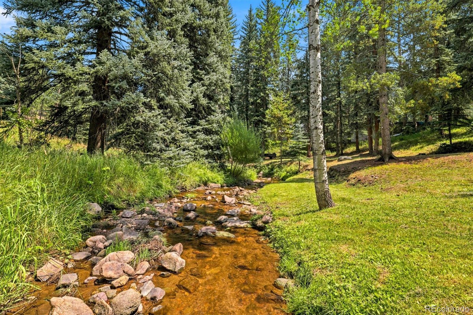 MLS Image #5 for 7006 s brook forest road,evergreen, Colorado